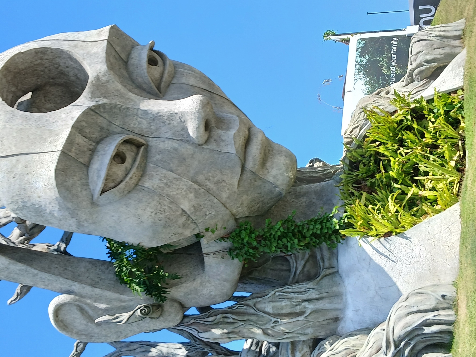 The image shows a close-up, low-angle view of a large, grey, abstract stone sculpture of a face and upper torso, seemingly emerging from the ground. The sculpture is textured and appears weathered, with some sections showing cracks. Lush green vegetation, including vines and ferns, is growing around and within the sculpture, particularly around its base and parts of the face.
In the background, a bright blue sky dominates. To the right of the sculpture, a billboard is partially visible. It features an image of trees and text that reads, "ou and your family." The sculpture itself is the primary subject, with its large, stylized features, including an open circular hole above the eyes, elongated eyes, a prominent nose, and pursed lips. Branches or tree-like structures are integrated into the sculpture on the left side. The foreground shows a neatly trimmed green lawn. This sculpture is located in the city of Mengwi, Indonesia, and is likely a public art installation or a feature of a park or tourist attraction.
