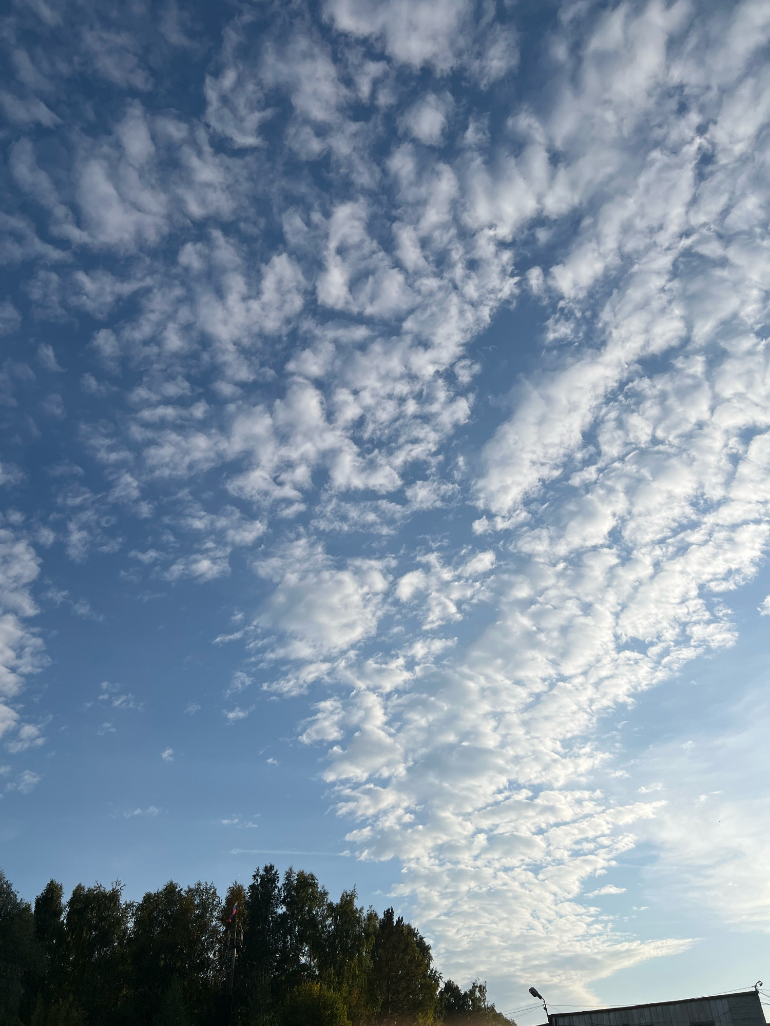 The image depicts a bright, partly cloudy sky over a line of trees and a building in Krasnoyarsk, Russia. The sky is a clear blue with scattered white cumulus clouds, some of which are textured and appear to be arranged in bands. The sun appears to be low in the sky, casting a warm light on the clouds, particularly on the right side of the frame where the clouds are illuminated with a bright, golden hue.
Along the bottom of the image, a dense line of dark green trees forms a horizon. A flagpole with a flag, appearing to be the Russian flag, is visible above the trees in the center-left. To the right of the trees, the roofline of a building is visible, with a streetlight and some electrical wires attached to its edge. The building appears to be constructed of concrete or metal, with a flat roof. The overall scene suggests an outdoor setting, possibly on the outskirts of a city, during either early morning or late afternoon given the lighting conditions.