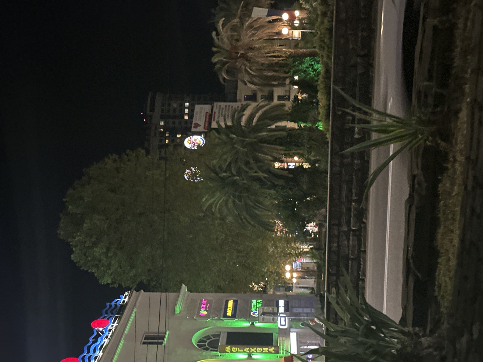This is a nighttime photograph of an urban scene in Sochi, Russia, likely along a street with pedestrian walkways and businesses. In the foreground, to the left, is a large green plant with spiky leaves, and to the right, a smaller, similar plant. A dark, low stone wall runs horizontally across the middle ground, separating the sidewalk from a paved road. The road has white lane markings.
The background features a building on the left with a white facade, illuminated by bright green accent lighting along its upper edge and around a large arched entrance. Above the entrance, a sign with pink lettering and a heart logo reads "Магнит," indicating a Russian retail chain. Next to it, a vertical sign with green letters reads "МЕГАХЕНД." Another illuminated sign on the building reads "АПТЕКА" (Pharmacy).
Behind this building, a large, dense green tree dominates the center of the frame. Further back, a multi-story building with many illuminated windows is visible against the dark night sky. To the right of the large tree, several palm trees are present, some appearing to be illuminated by green lights. A Burger King sign is visible in the distance above the palm trees, with a circular logo.
The overall atmosphere is that of a busy commercial area at night, with a mix of modern and natural elements.