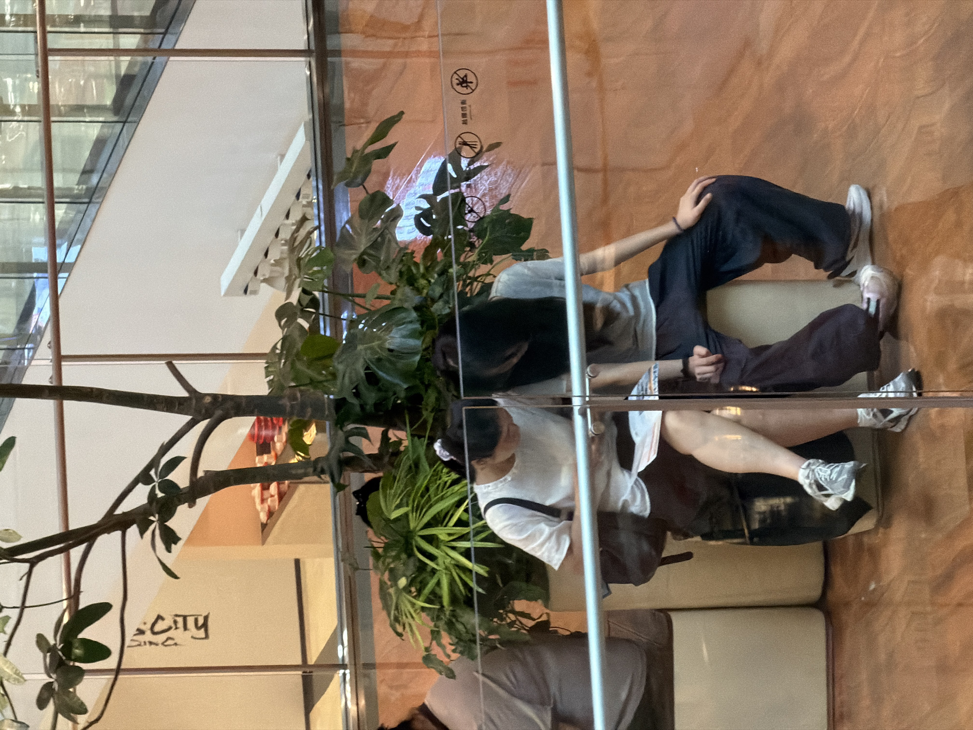 The image depicts two young women seated next to each other in a brightly lit indoor space, possibly a shopping mall or a public atrium, with a large potted plant separating them. The woman on the left is wearing a white t-shirt, a dark backpack, and light-colored sneakers. She is looking down at a book or papers in her lap, with her left leg crossed over her right. The woman on the right is wearing a gray t-shirt, dark pants, and light-colored sneakers. Her hair is dark and falls over her face as she also appears to be looking down. Both women are seated on a light-colored cylindrical object.
The background reveals a modern architectural design with glass railings and a large staircase visible in the upper right section. Behind the plant, there is a wall with some text, possibly signage. The floor is made of polished wood or a wood-like material. The lighting suggests an indoor environment, likely during the daytime. The scene is observed through a glass partition, as indicated by the horizontal bars and the reflection of some warning symbols on the glass. The overall impression is a candid moment of two individuals engaged in a quiet activity within a commercial or public area. The location is in Yuzhong District, China.