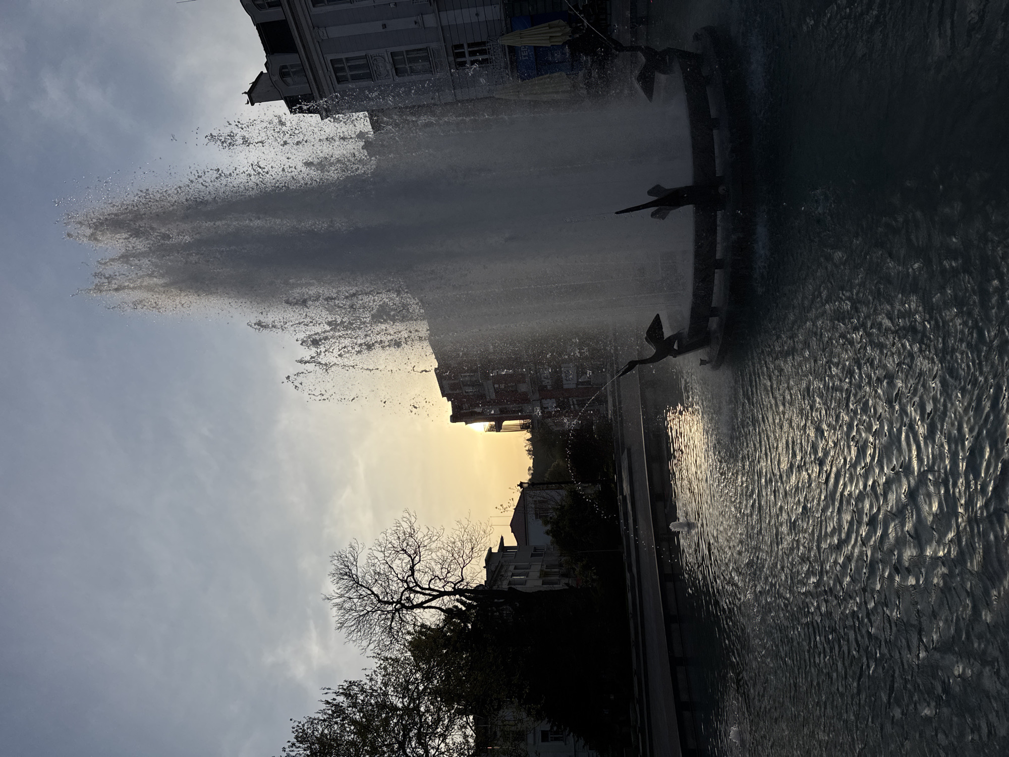 This image shows a fountain with bird sculptures in Plovdiv, Bulgaria, set against a backdrop of buildings and a sky with an orange hue, likely from the setting sun. The fountain's water is prominently featured, with a central spout shooting high into the air and the water rippling in the pool below. Trees are visible at the bottom of the frame. The photo is taken from a low angle and is oriented sideways.