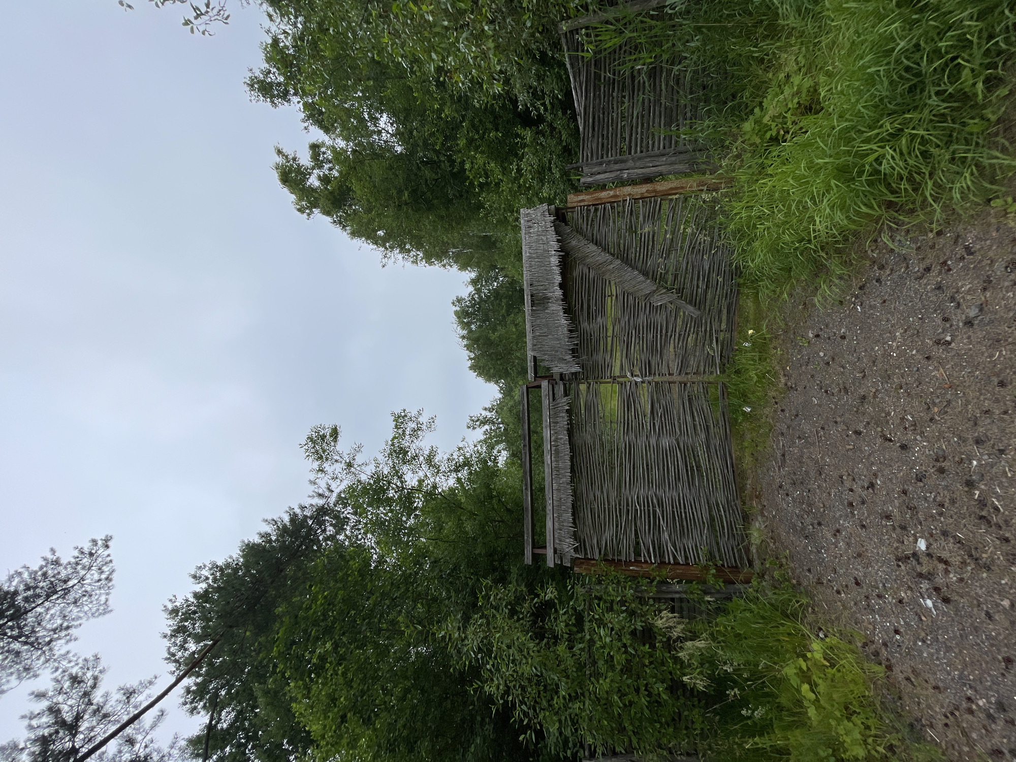 The image shows a rustic, woven wooden gate and fence bordering a gravel path. The gate itself is made of tightly woven branches, with a smaller section of thatched roofing over a portion of it, suggesting a simple, handmade construction. Beyond the fence, lush green trees and foliage create a dense backdrop. To the right of the gate, tall grasses grow wild, merging with the gravel path. The sky above is overcast and pale, indicating a cloudy or possibly rainy day. The overall scene evokes a sense of a natural, somewhat secluded outdoor setting, perhaps a park, a garden, or a rural pathway in Solnechnoye, Russia. There is no activity taking place, and no people are visible. The mood is quiet and somewhat somber due to the overcast sky. The image is shot vertically, with the gate and path oriented as if viewed from a slightly elevated, sideways perspective.