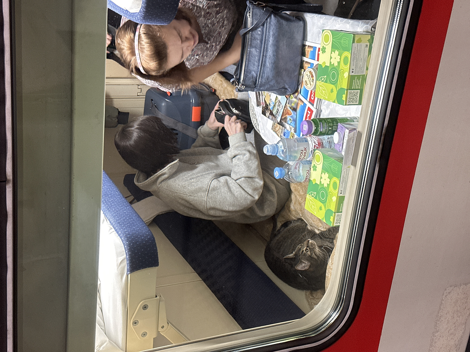 Captured through a train window, the image depicts a small compartment occupied by two individuals and a cat. One person, with brunette hair, is seated and handling a small black pouch or wallet, while the other person, with blonde hair and a headband, is leaning in toward a purse or bag. The cat is resting on the floor near an assortment of bottled water, green boxes with floral designs, and postcards or photographs. The train's interior, with blue and white upholstered seats, suggests travel. The exact location within Saint Petersburg, Russia, cannot be determined solely from this image.