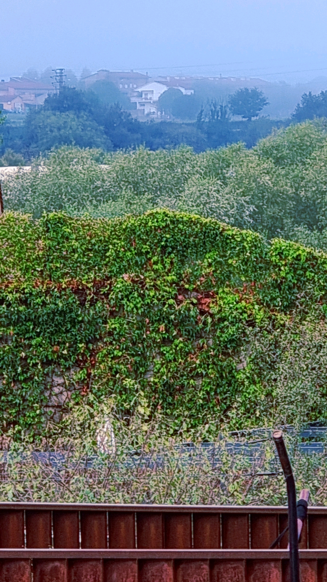 The image depicts a hazy, overcast day in Sant Joan Les Fonts, Spain. In the foreground, a rusty brown fence with vertical slats is visible. Behind the fence, a dense green hedge partially obscures a stone wall covered in ivy. Beyond the wall, a lush green landscape of trees and bushes stretches into the distance. In the background, houses with tiled roofs and some with white facades are nestled amongst the trees. A power line tower with multiple crossbars is also visible in the middle ground. The overall atmosphere is one of a damp, somewhat muted environment, possibly due to fog or mist.