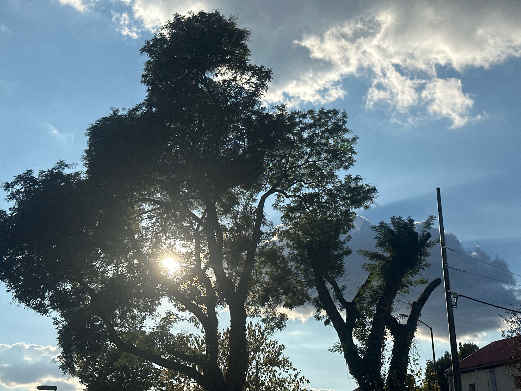 The image shows a sunlit scene with trees and clouds in the sky. The sun is visible through the branches of a large tree in the foreground, creating a lens flare effect. The sky is blue with scattered white clouds, some of which are illuminated by the sun. In the background, there is a utility pole with wires and a portion of a building with a red roof. The image appears to have been taken from a low angle, looking upwards. The overall mood is bright and airy, with a sense of natural beauty. There are no people or animals visible in the image. It is difficult to definitively identify the specific location within Pécs, Hungary, based solely on this image, as it lacks distinct landmarks.