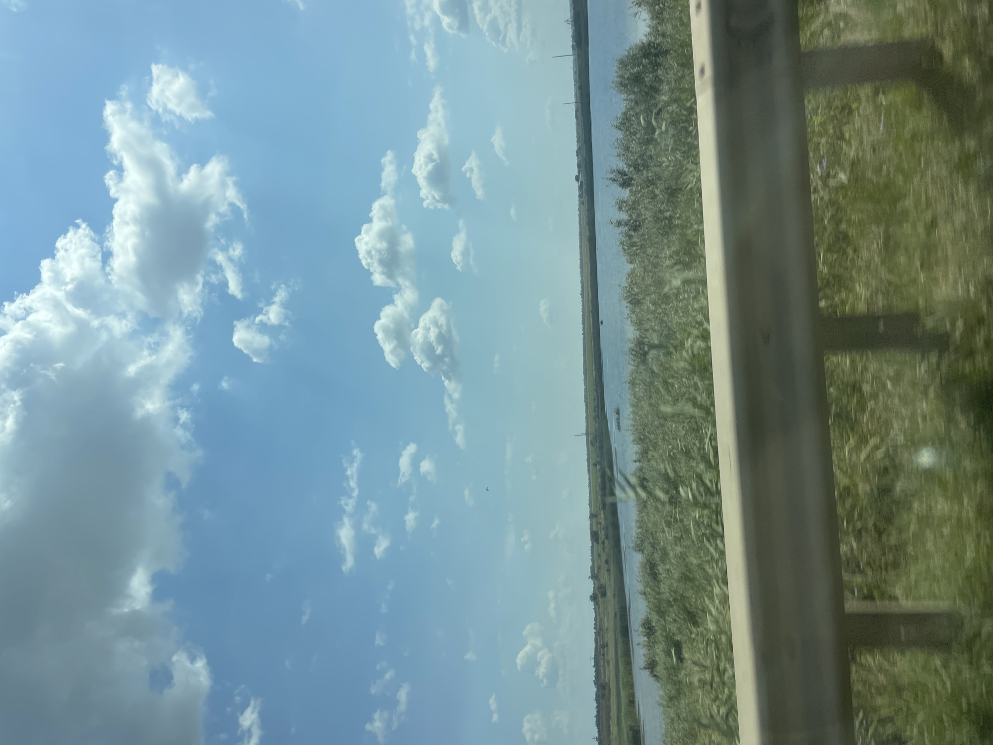 The image shows a wide expanse of a body of water, possibly a lake or a slow-moving river, bordered by dense green vegetation, primarily reeds and tall grasses, that extends towards a distant, flat horizon. The sky above is a vibrant blue, dotted with scattered white cumulus clouds. The overall impression is a serene natural landscape. There is a metallic guardrail in the foreground, suggesting the viewpoint is from a road or elevated walkway adjacent to the water. The specific location within the city of Genera, Russia cannot be determined from the visual information provided. There are no people, specific objects, or actions depicted that would suggest a particular event or activity.
