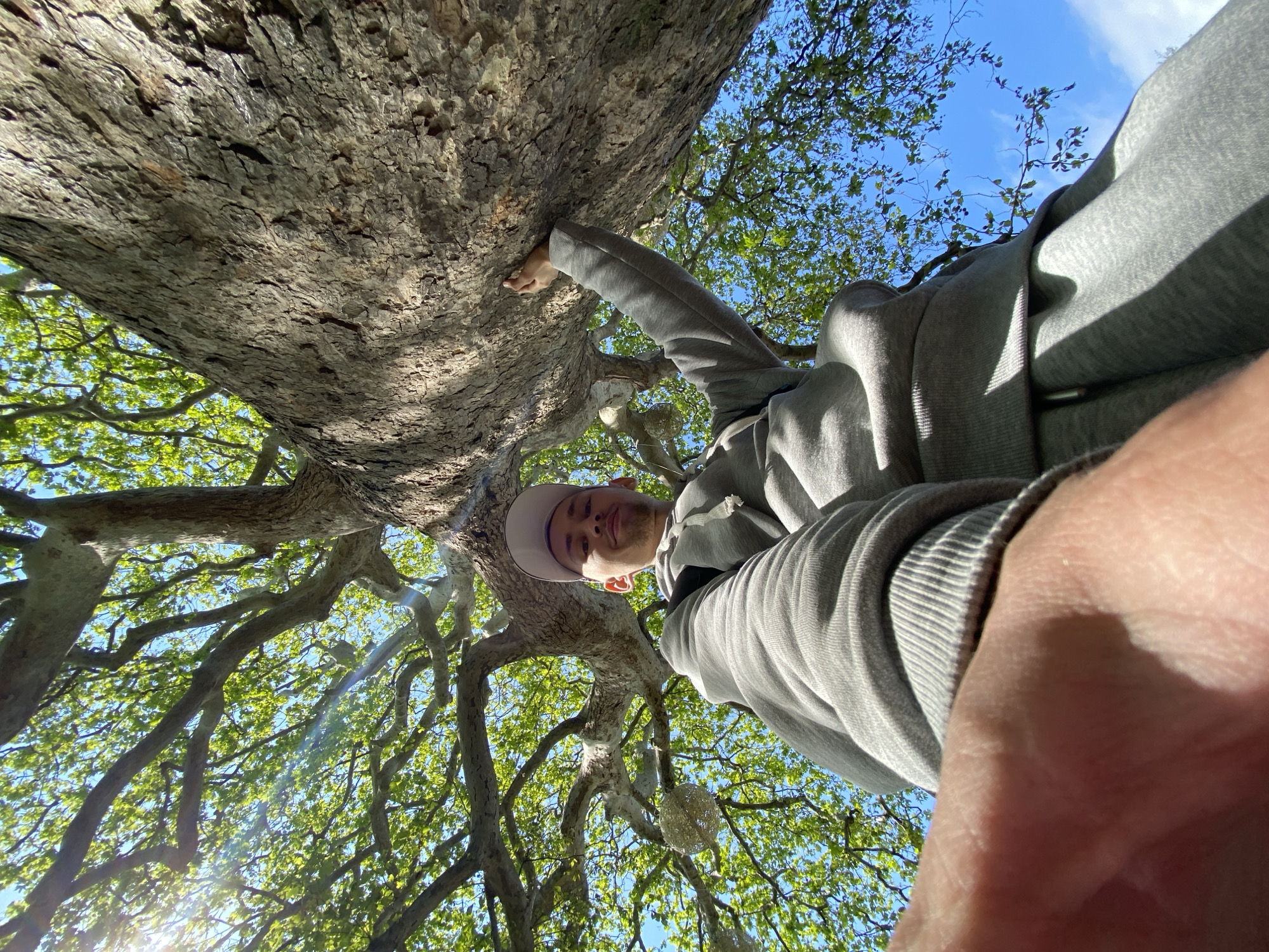 A low-angle shot depicts a man standing beneath a large tree. He is wearing a grey hooded sweatshirt and a light-colored baseball cap. His hand rests on the tree trunk. The tree's branches extend outwards, with green leaves visible against a blue sky. The photograph appears to have been taken outdoors, potentially in a park or wooded area. The specific location in город Ялта, Ukraine is not discernible.