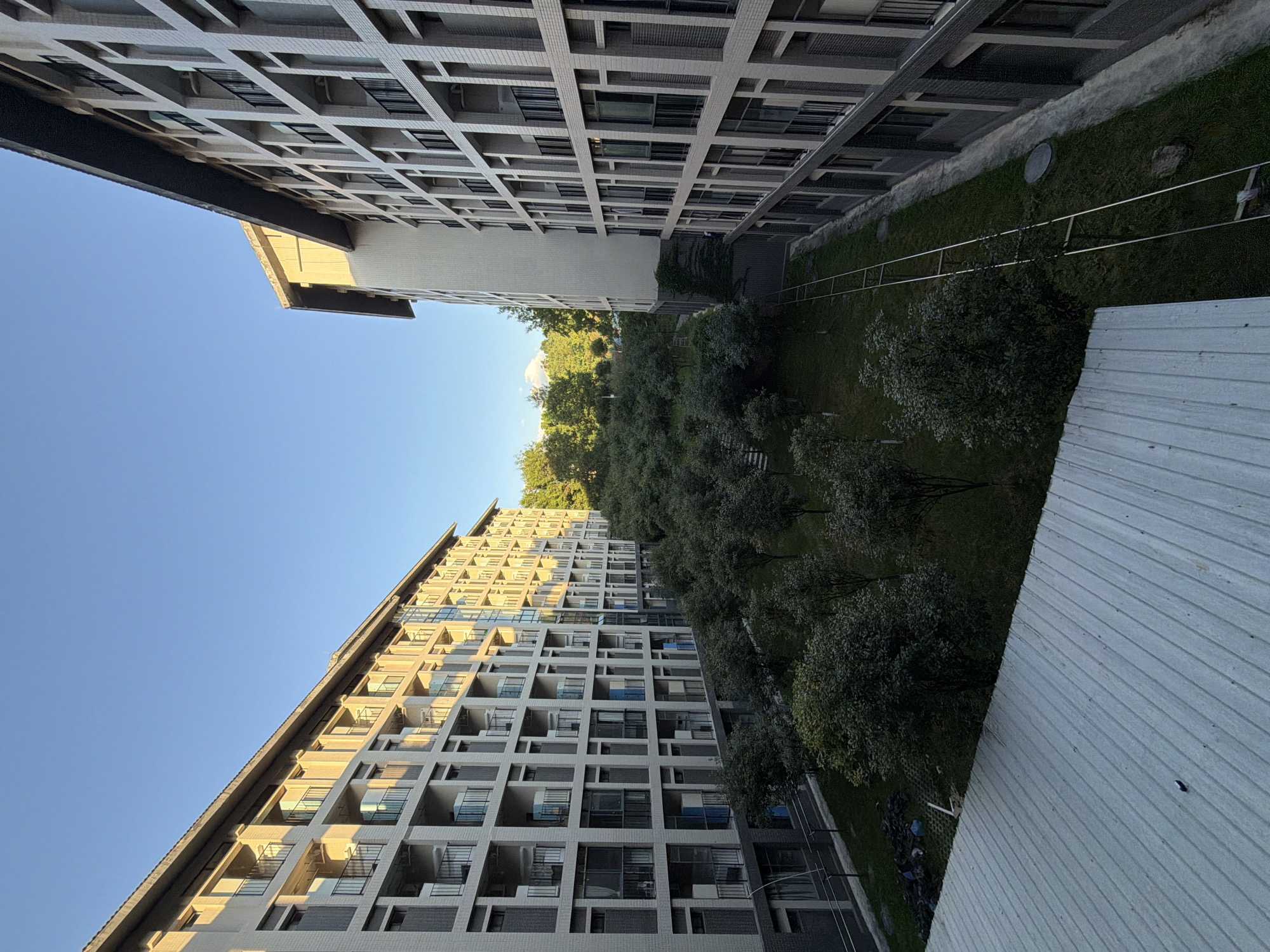 This is a vertical, eye-level shot taken from an elevated perspective, likely a balcony or rooftop, looking down into a courtyard between two modern apartment buildings. The buildings are constructed with a light-colored, brick-like facade and feature numerous balconies with dark railings. The left building, bathed in warm, late afternoon sunlight, recedes into the distance, showcasing a repeating pattern of windows and balconies. The right building, mostly in shadow, also displays a grid-like facade. The courtyard below is filled with lush green grass and a dense arrangement of mature trees with dark green foliage. A metal roof structure extends into the foreground from the bottom left of the frame. The sky above is a clear, vibrant blue, typical of a sunny day in the city of Jiangjin, China.