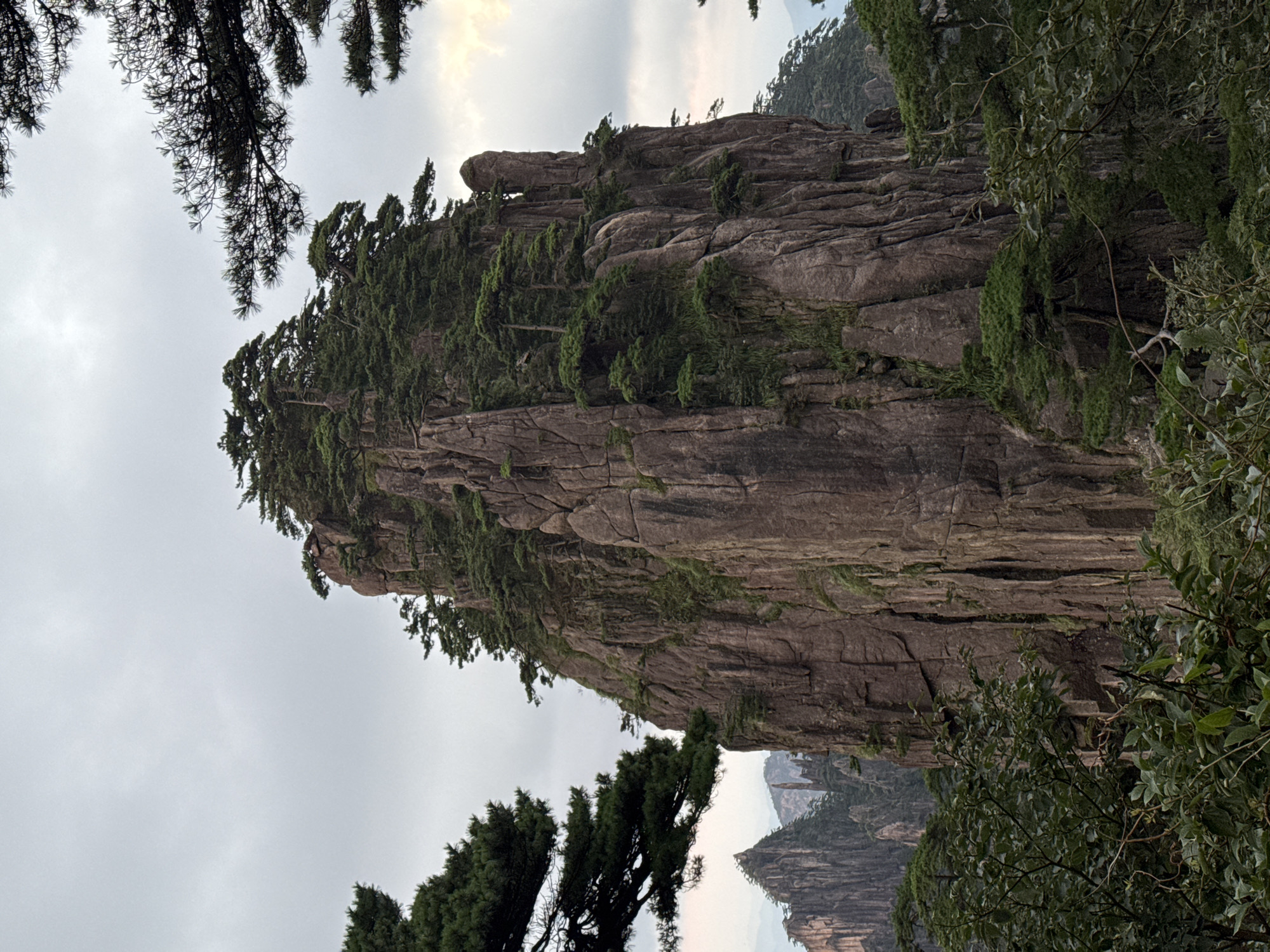 A dramatic, vertical cliff face dominates the center of the image, its sheer rock walls etched with deep crevices and appearing to be made of reddish-brown stone. Lush green pine trees cling precariously to the summit and upper portions of the cliff, their branches reaching outwards. In the background, a hazy landscape of further jagged mountain peaks, also dotted with trees, stretches into the distance under a cloudy, overcast sky. The foreground is filled with the dark green foliage of trees and shrubs, obscuring the base of the central cliff and framing the view. The scene appears to be a natural mountain landscape, likely in the Huangshan District of China, known for its distinctive granite peaks and ancient pines. There are no people or man-made structures visible in the image. The overall impression is one of rugged, untamed natural beauty.