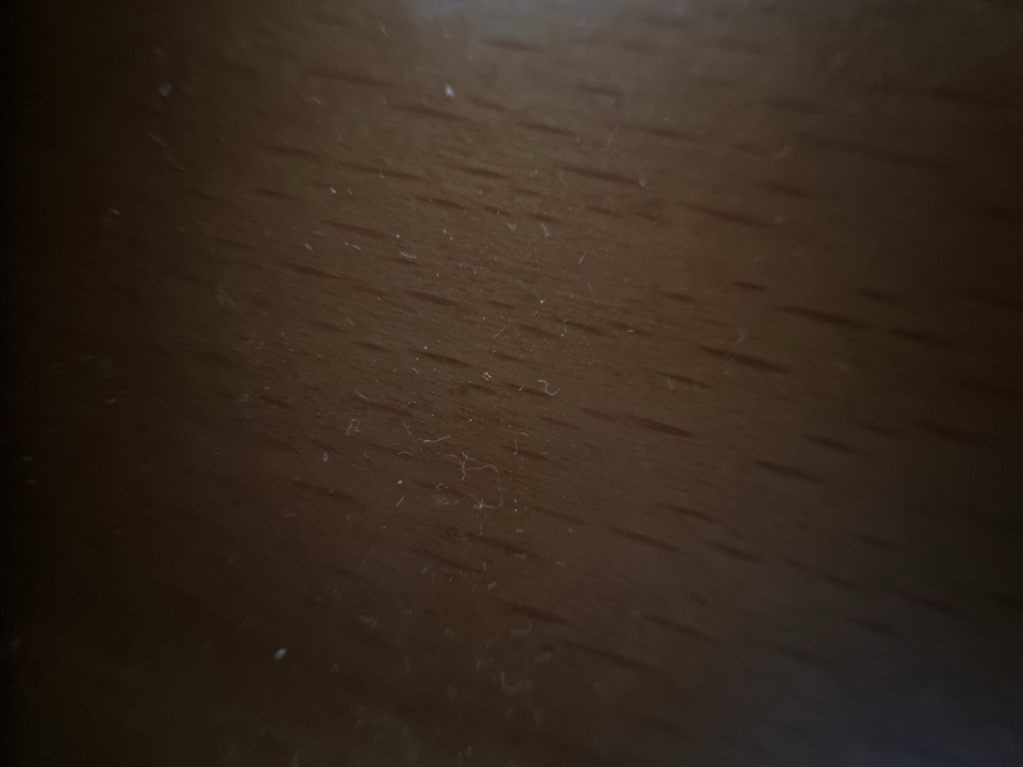 This is a close-up, overhead shot of a dark wooden surface, likely a tabletop or floor, with a visible wood grain pattern running diagonally from the top left to the bottom right. The lighting appears to be dim and possibly from a single source, creating a gradient of light and shadow across the surface, with the left side being darker and the right side brighter. Scattered across the wood are numerous small, light-colored specks, which appear to be dust or lint particles. Some of these particles are clustered together, forming small wisps. The image is still and does not appear to depict any specific activity or event, other than the presence of accumulated dust on the surface. There is no visible text. The context provided indicates the location is Belgrade, Serbia, but this is not discernible from the image itself.