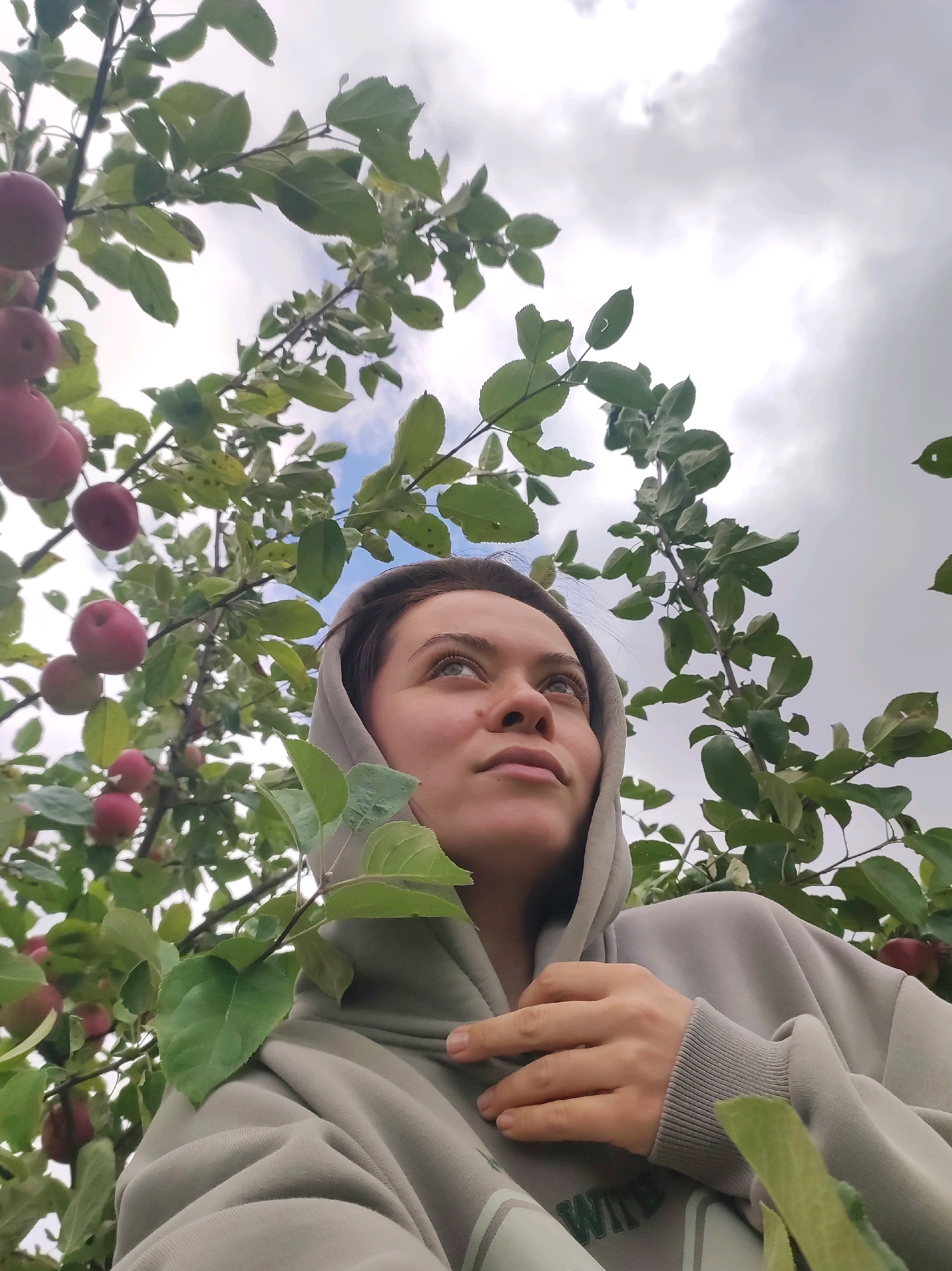 A low-angle, full-shot photograph captures a young woman looking upwards, partially obscured by the branches of an apple tree. She is wearing a light-colored hooded sweatshirt. Red apples are visible on the tree branches, along with green leaves. The background consists of a cloudy sky. The scene appears to be outdoors, with no specific identifiable landmarks suggesting the city of Фоки, Russia.