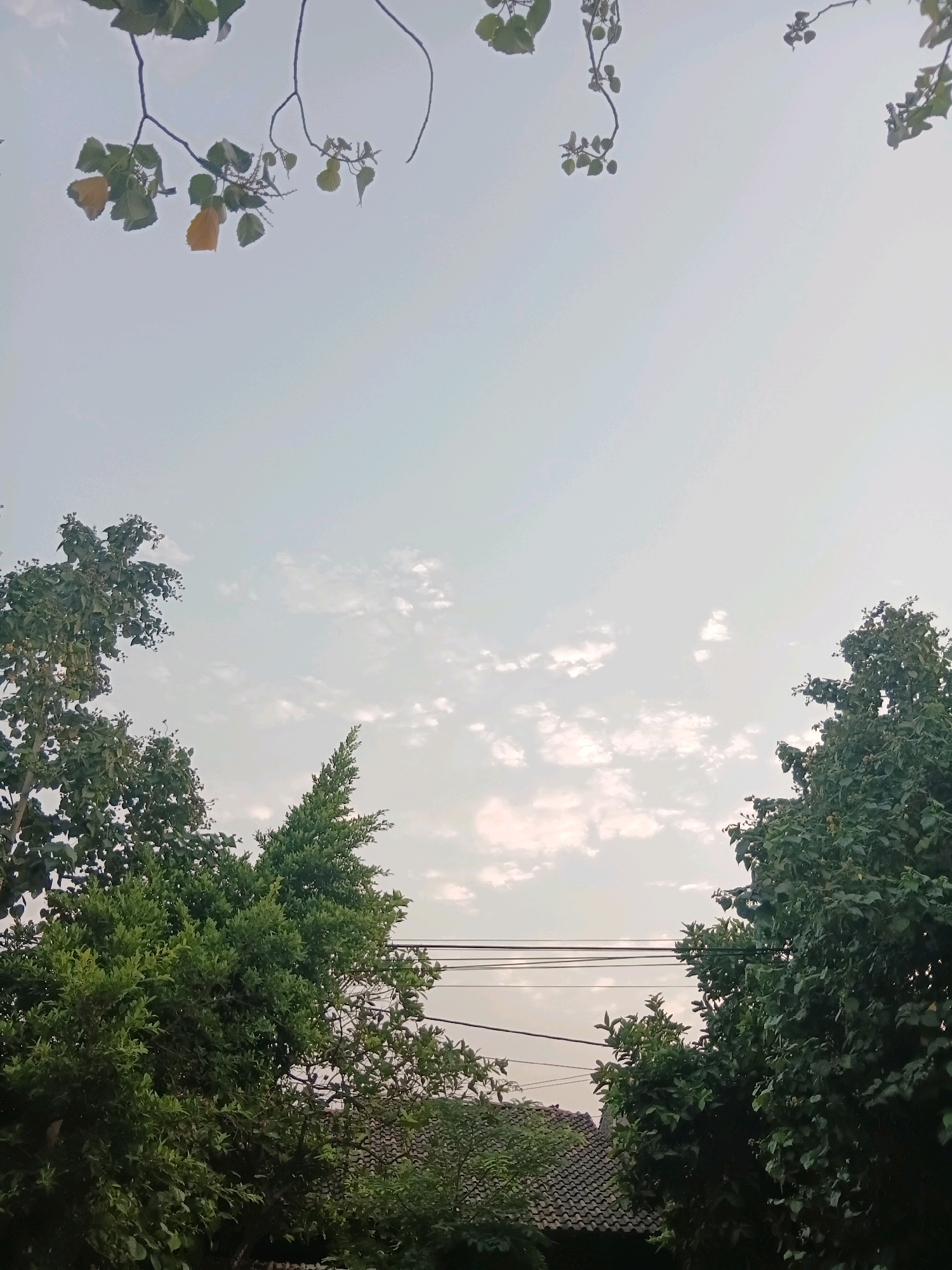 The image shows a view of the sky through trees in Cikal, Indonesia. The sky is light blue with scattered white clouds. The tops of several trees are visible, with lush green leaves. Some branches with leaves hang down from the top of the frame. Power lines are strung across the middle of the image. A tiled roof of a building is partially visible in the lower portion of the image.