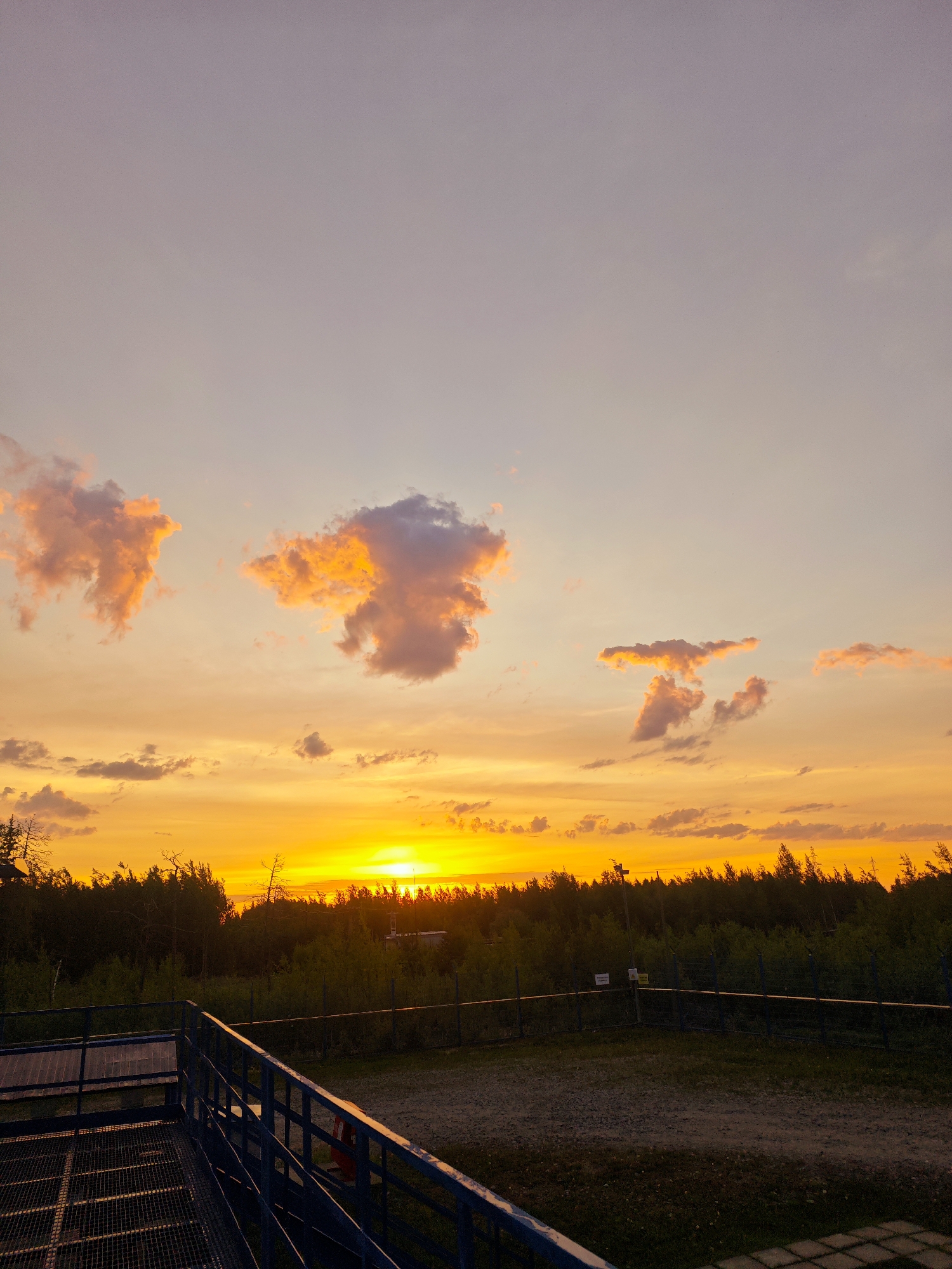 An outdoor, high-angle, vertical, medium shot captures a vibrant sunset over a treeline in a rural setting, possibly a park or observation area. The sky is a gradient of soft lilac at the top, transitioning to a brilliant, fiery orange and yellow as it nears the horizon. Several clouds are scattered throughout the sky, some tinged with pink and orange, while others are darker gray. The sun is a bright, white disc near the center of the horizon, radiating intense yellow light.
Below the sky, a dense treeline of dark green foliage forms a horizontal band across the image. Some bare tree branches are visible against the bright sky. In the foreground, a blue metal railing and grating of an elevated platform dominate the left and bottom of the frame, suggesting an observation deck. A gravel path and more green foliage are visible beyond the railing. A dark fence with a wire mesh runs horizontally in the middle ground, separating the platform area from the treeline. Two small signs are attached to the fence. The overall impression is one of serene natural beauty at dusk.
