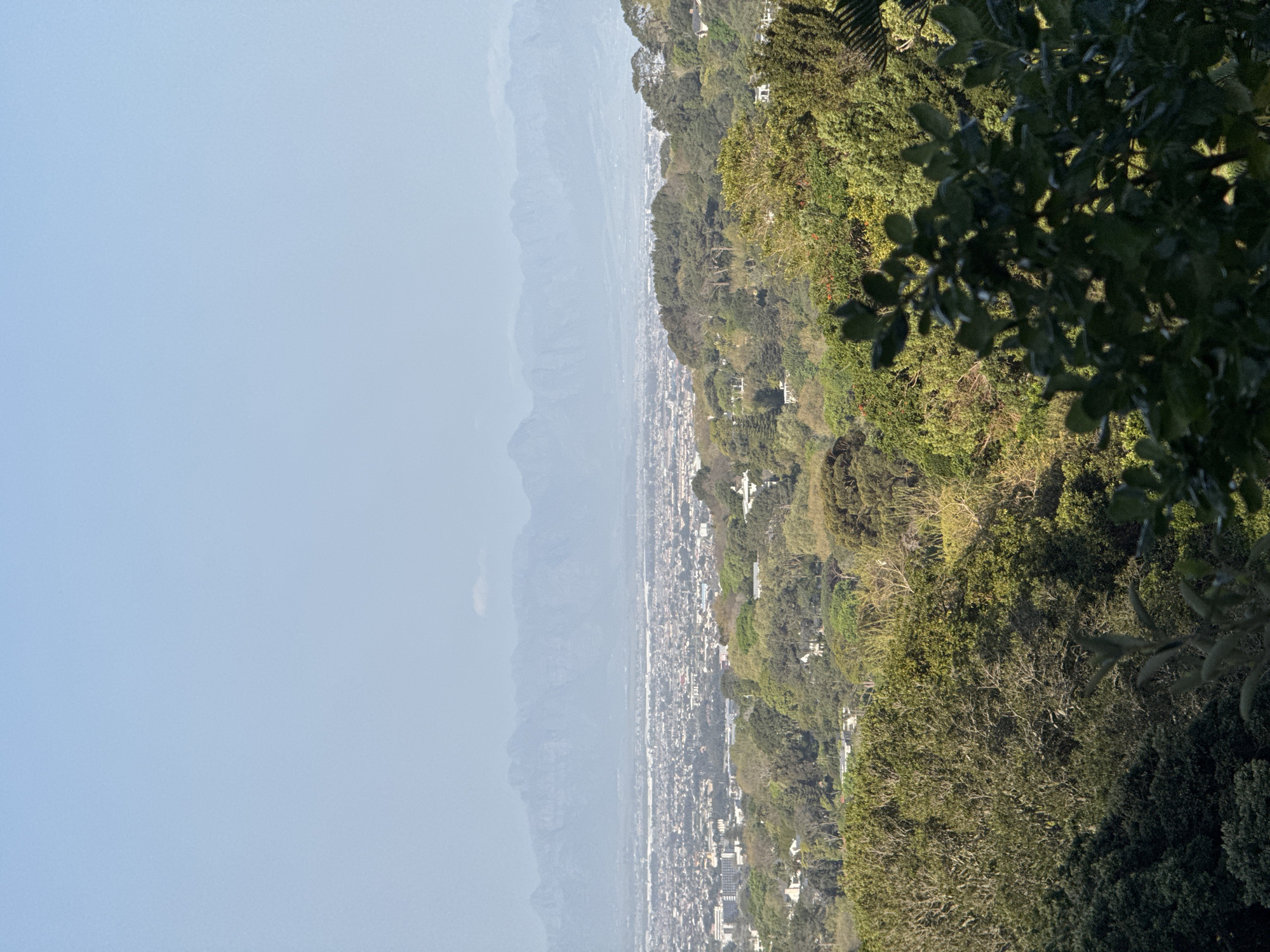 This is a photograph taken from a high vantage point overlooking the city of Cape Town, South Africa. The foreground is dominated by lush green trees, with some branches and leaves in sharp focus. In the middle ground, the city stretches out, a dense collection of buildings and houses interspersed with more trees. The distant background features a range of mountains, appearing hazy and somewhat indistinct due to atmospheric conditions. The sky is a pale blue, with a single, wispy cloud visible. The overall impression is one of a sprawling urban landscape nestled amongst natural greenery and framed by majestic mountains.