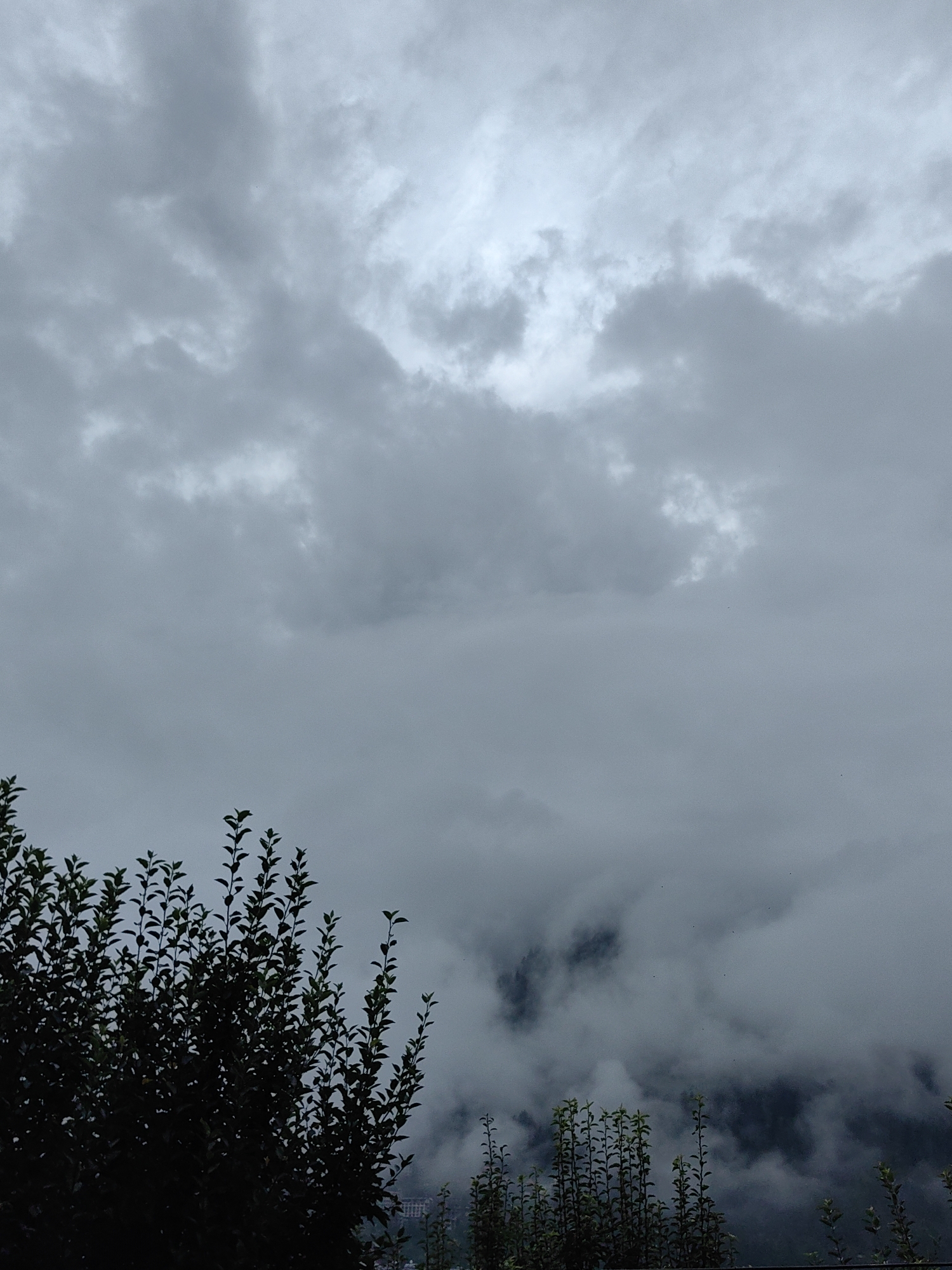 The image captures a view of the sky over Manali, India, characterized by heavy, overcast clouds. The sky is predominantly gray with varying densities of cloud cover, suggesting a potentially overcast or misty day. In the foreground, the dark silhouettes of lush green foliage from trees and bushes are visible on the left and bottom portions of the frame. Through gaps in the mist and clouds in the middle ground, hints of mountainous terrain and possibly some distant structures or buildings are faintly discernible, indicating the location is within or overlooking a valley. There are no people or specific actions depicted; the scene is a still landscape observation.