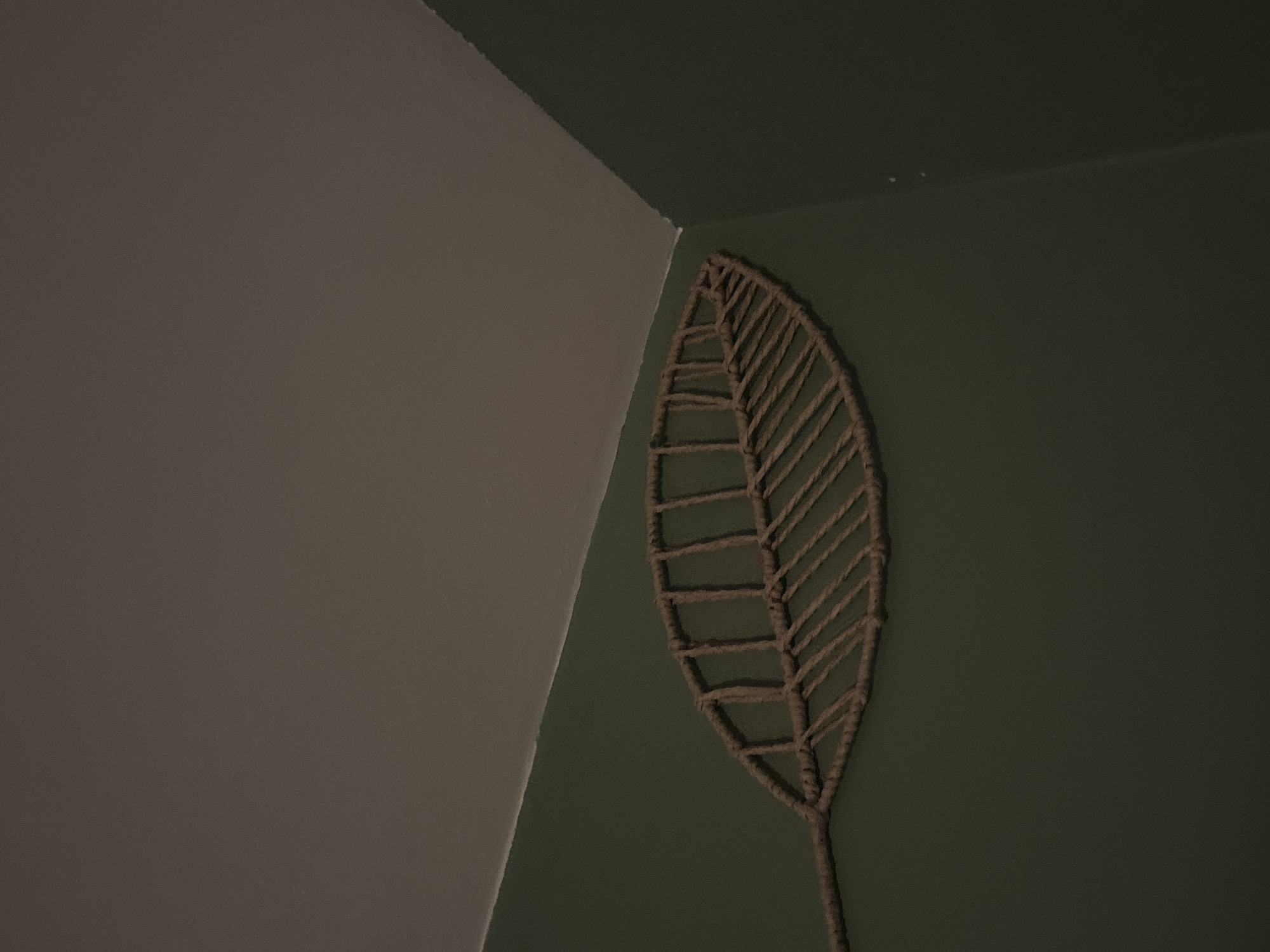 The image shows a close-up of a macrame leaf wall decoration against a dark green wall, in the corner where it meets a taupe-colored ceiling. The leaf is crafted from coarse, natural-colored twine, with a central vein and radiating thinner strands creating the leaf's shape. The lighting is dim, casting soft shadows. The scene appears to be indoors, possibly in a residential or commercial space. The location in Plovdiv, Bulgaria cannot be determined from the visual information provided.