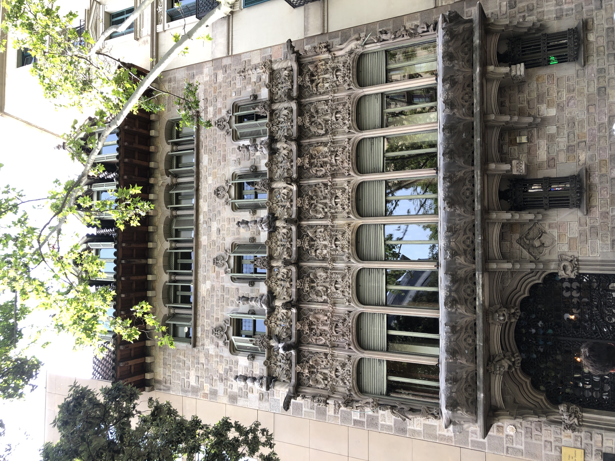 A facade of a building, with a stone exterior, is shown under a canopy of green leaves and branches from a tree. The building features ornate stonework with sculptures and carvings. There are multiple rows of windows, some with green shutters. The ground floor has a large decorative entrance with metal gates and several smaller windows with decorative ironwork. A person's head and shoulders are visible in the lower center of the image, facing away from the camera and looking towards the entrance. The lighting suggests it is daytime.