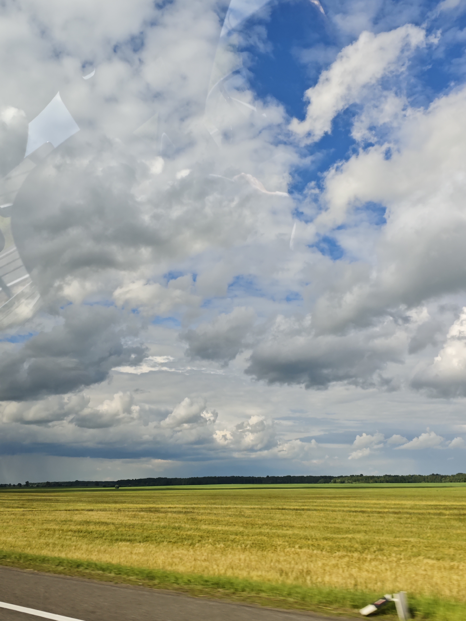This is a vertical, eye-level, outdoor photograph taken from a moving vehicle, likely a car, looking out at a rural landscape. The image is dominated by a vast, golden-yellow field of crops, possibly wheat or barley, stretching to the horizon. The field is divided into rows, suggesting it has been cultivated. In the far distance, a dark green line of trees forms a dense forest, marking the boundary of the field.
Above the field, a dramatic sky unfolds. White and grey cumulus clouds fill much of the frame, interspersed with patches of bright blue sky. The lighting suggests it's daytime, with some areas of the clouds casting shadows on the field below, hinting at the possibility of impending rain. The overall mood is one of expansive natural beauty and the tranquility of the countryside.
Reflections are visible on the upper portion of the image, indicating the photo was taken through a window, likely the windshield of the vehicle. These reflections are abstract shapes and colors, mostly white and light grey, obscuring some of the sky.
The foreground shows a sliver of a road or pavement with a white line, reinforcing the perspective from a moving vehicle. A small, white and red striped object, possibly a marker or reflective element, is visible on the right side of the road.
The location context is Gubithsky Selsovet, Belarus. There is no visible text in the image.