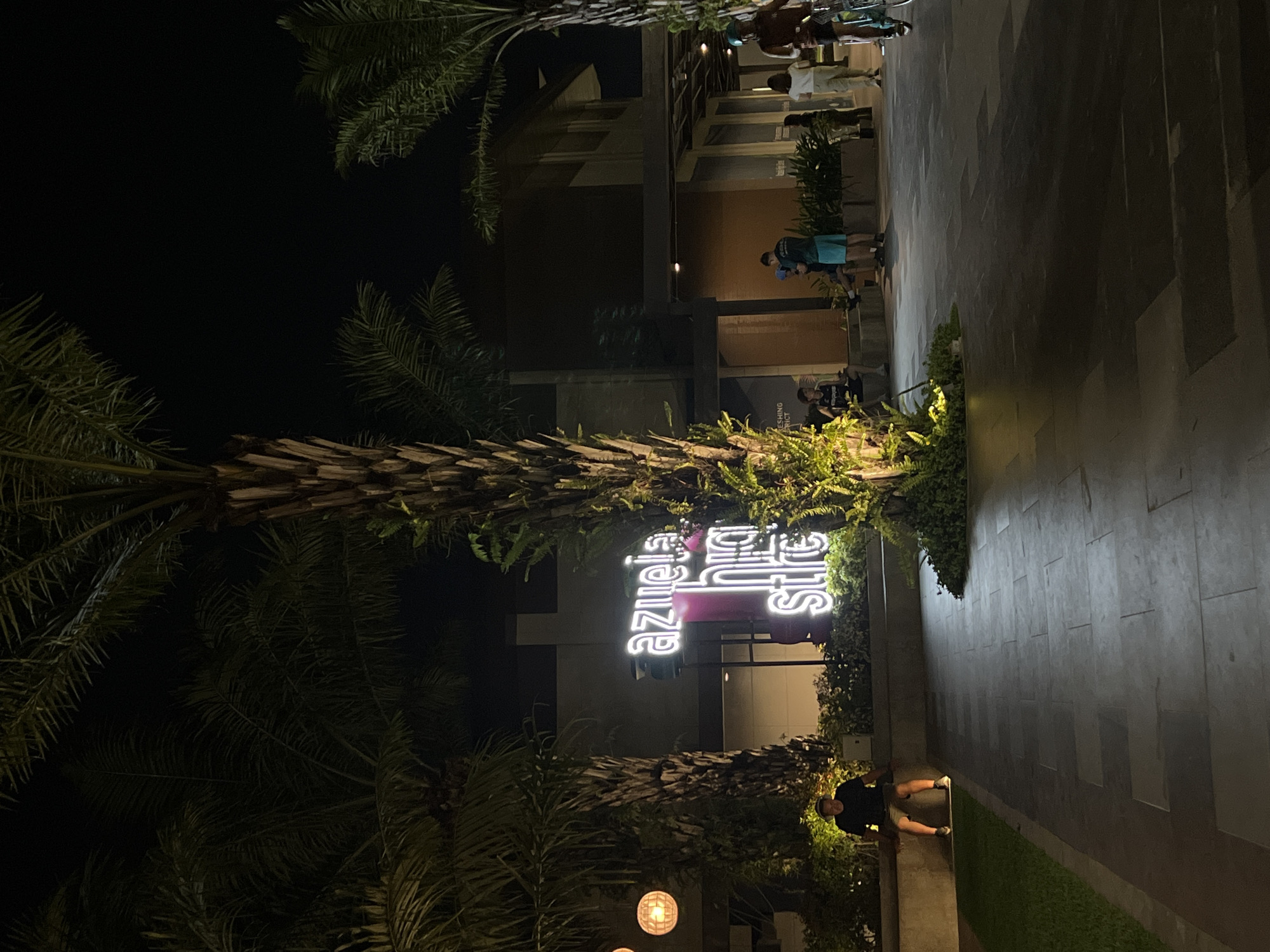 This nighttime image captures a lively outdoor pedestrian area, likely a plaza or commercial street. Tall palm trees, with their characteristic trunks and fronds, frame the scene on both sides, creating a tropical ambiance.
A prominent feature is a glowing neon sign situated in the midground, amidst abundant green foliage. The sign reads "azuela" in white neon and "night street" in pink neon, suggesting a themed area or specific location. Below the sign and around the base of the trees, lush ferns and other plants are illuminated by subtle uplighting.
The ground consists of a wide, tiled walkway, featuring rectangular grey tiles arranged in a geometric pattern. Several people are visible in various parts of the scene. On the right, a person wearing a dark shirt and light shorts is seated on a low wall or planter. Further back on the left side of the walkway, groups of individuals are standing, appearing to socialise or walk. One person is noticeable in a teal/blue shirt and shorts, and another in a light-colored top.
In the background, a modern, multi-story building with large windows is dimly visible, suggesting it's part of a commercial complex or urban development. The sky is completely dark, confirming the nighttime setting, with various artificial lights illuminating the area, including hanging spherical lamps in the lower-left foreground. The overall atmosphere is calm and leisurely, characteristic of an evening stroll or gathering in a tropical urban environment such as Davao City, Philippines.