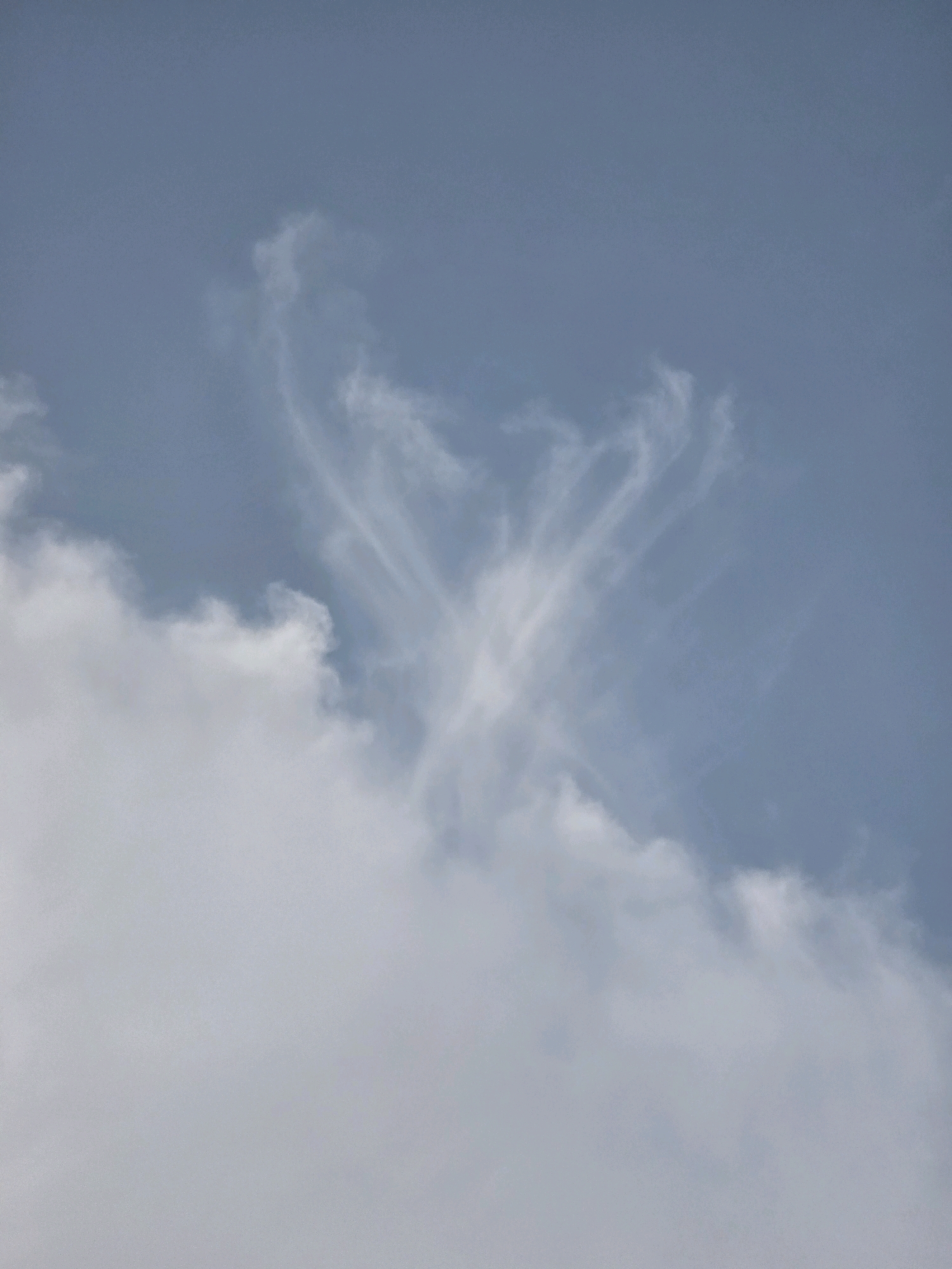 The image shows a wispy cloud formation in a blue sky that resembles an angel. The lower portion of the image is dominated by larger, more solid white clouds. The background is a gradient of blue sky, lighter at the bottom and darkening towards the top. The cloud formation is centrally located in the upper half of the image. There are no people, buildings, or any other environmental features visible that would suggest a specific location within the city of Podgorica, Montenegro. The scene is entirely natural.