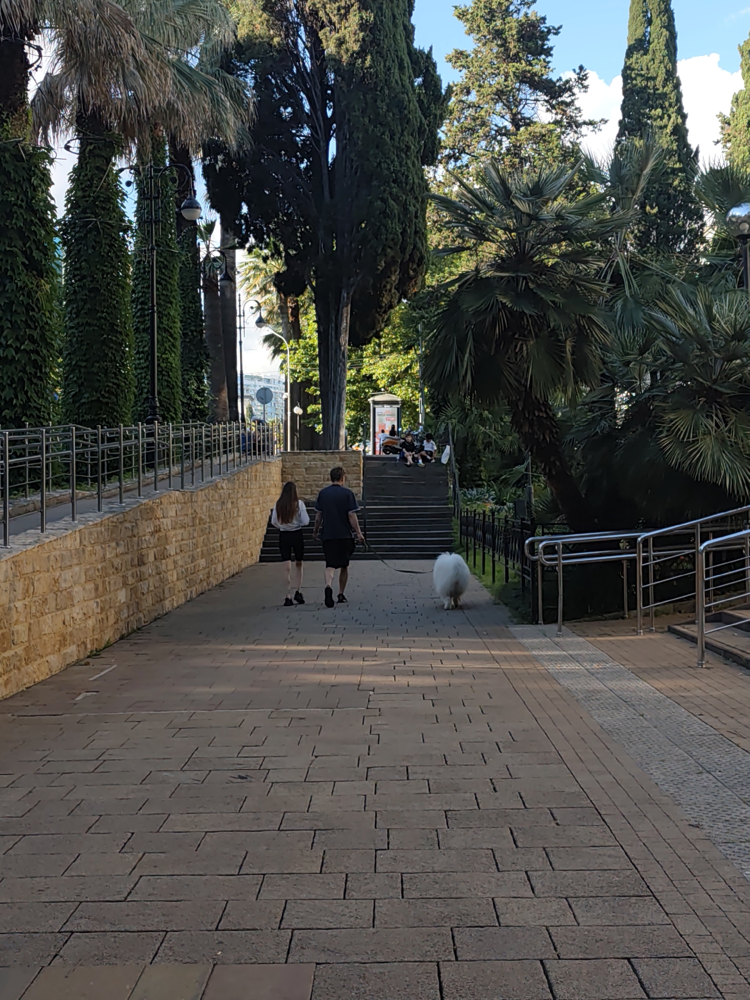 The image depicts a paved walkway in a park-like setting, likely in Sochi, Russia, characterized by abundant greenery including palm trees and tall evergreen trees. Two individuals, a woman and a man, are walking away from the camera on the walkway, accompanied by a fluffy white dog. The walkway is bordered by a stone wall on the left and a metal railing on the right. In the background, there are stairs leading up to an area where several people are seated. The scene suggests a leisurely daytime activity in a public outdoor space.