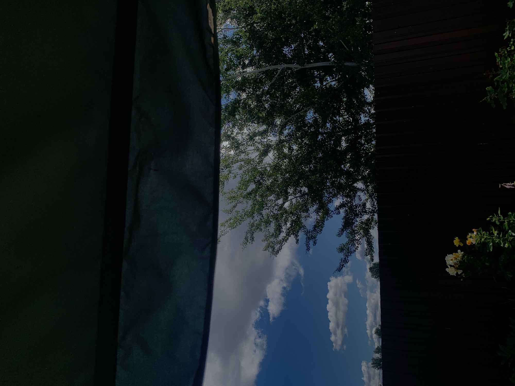 The image shows a view through a dark, possibly fabric-covered, awning or shelter. Below the awning, a bright blue sky is visible with scattered white and gray clouds. A large, leafy green tree dominates the right side of the frame, its branches reaching towards the sky. In the distance, a dark brown wooden fence runs horizontally across the lower part of the image. At the bottom center, in front of the fence, a cluster of yellow and white roses is visible, illuminated by sunlight. The scene suggests an outdoor setting, possibly a garden or backyard, on a sunny day. The overall impression is one of a peaceful, natural environment. There are no people or animals depicted in the image, nor are there any explicit indicators of the city of Minsk, Belarus.