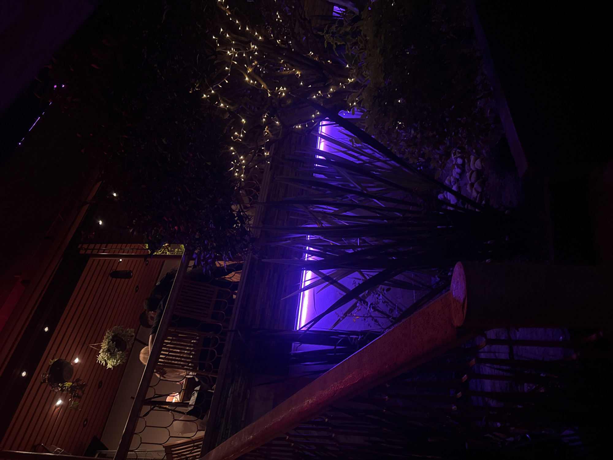 This image depicts a dimly lit, atmospheric scene at night, likely within a trendy restaurant, bar, or a covered outdoor patio in Puebla, Mexico. The photo is taken from an angled perspective, looking upwards, highlighting the interplay of natural elements and artificial lighting.
A striking bright purple or blue neon light strip is a central feature, positioned horizontally and partially obscured by large, dark green leaves and foliage, creating a futuristic glow amidst the natural forms. Above and around this, numerous small, warm-toned fairy lights are strung across an overhead structure or intertwined with more dark foliage, casting a soft, twinkling illumination.
On the left side, warm-toned wooden slatted walls or ceilings are visible, adorned with small recessed spotlights and several hanging potted plants. Below, parts of a seating area with what appear to be rattan-style chairs and tables are discernible. One person is partially visible seated at a table, facing away, and another person's head can be vaguely seen further in the background. A large, reddish-brown wooden beam or railing extends diagonally across the lower right foreground.
The lush, dark foliage, combined with the varied artificial lights, creates an intimate, cozy, and somewhat mysterious ambiance. The scene suggests a leisure activity, with individuals socializing or dining in a decoratively lit, urban space. No text is visible in the image.