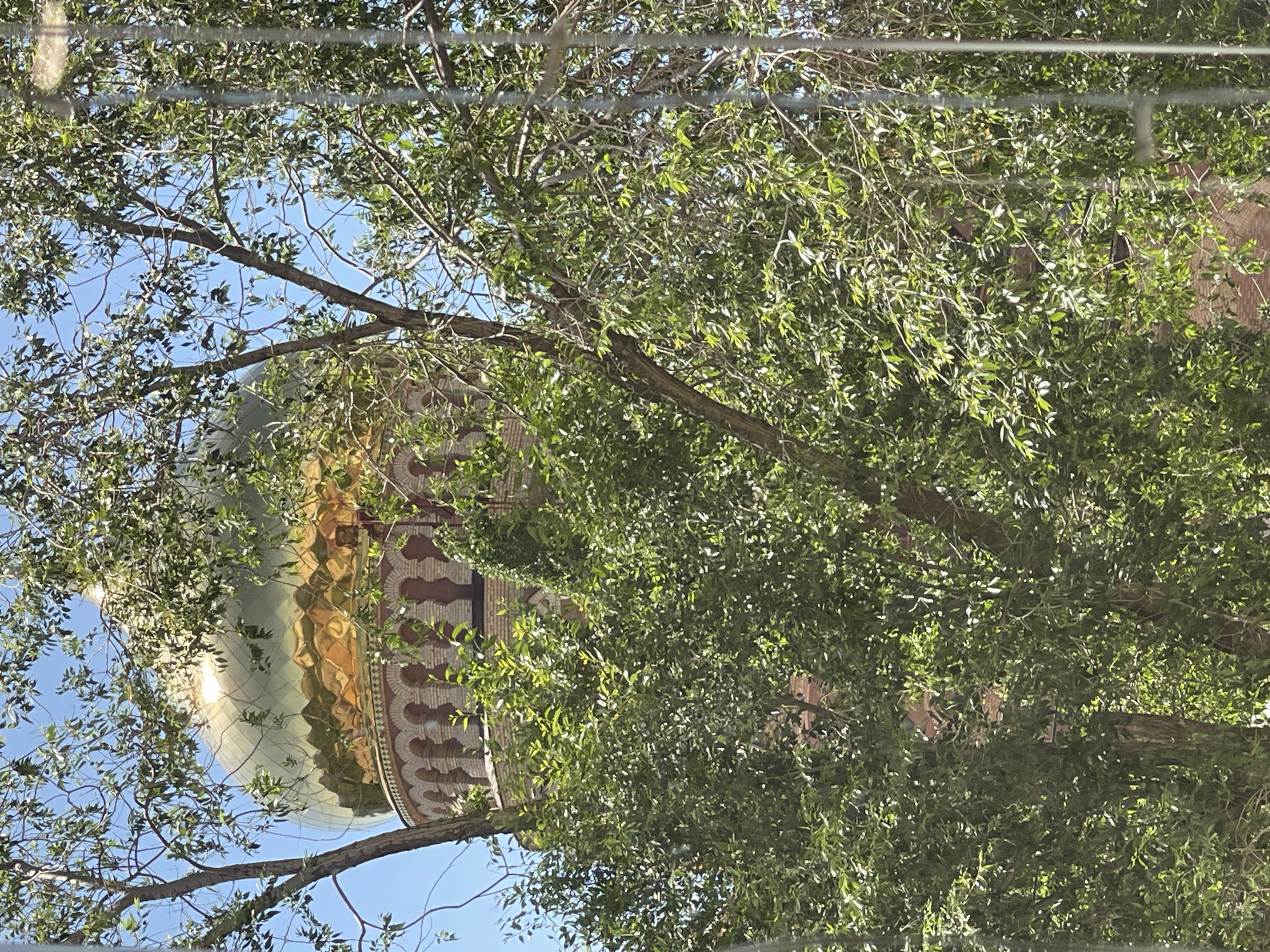 A close-up shot of a golden dome church is partially obscured by lush green trees and branches, creating a dappled effect. The dome is prominently visible at the top of the frame, reflecting the sunlight and a bright blue sky. Below the dome, a section of the church's brick structure is visible, featuring arched windows. The foreground is dominated by the dense foliage of the trees, with some branches extending towards the viewer. The overall impression is one of a bright, sunny day, with nature intertwining with the architectural structure.
