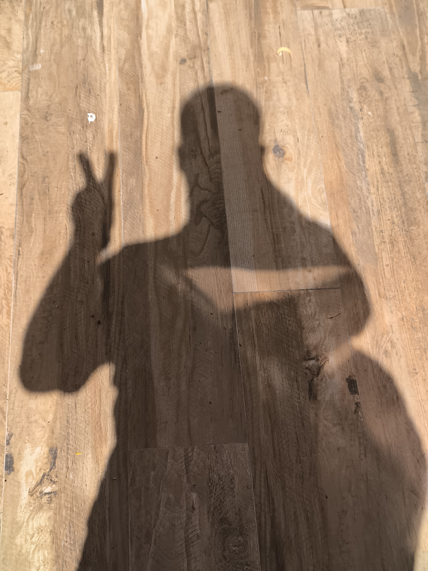 A shadow of a person is cast on a wooden floor. The shadow shows the person's head, torso, and an arm raised with two fingers extended, forming a peace sign. There are a few small, light-colored specks on the floor, one of which appears to be a small blob of white paint. Another small, yellow object is visible to the right of the shadow's head. The wooden floorboards have a natural wood grain pattern. The scene is dimly lit, indicating it may be indoors or in a shaded outdoor area. No specific landmarks or context for Malyy Baklaniy, Russia are visible in the image.