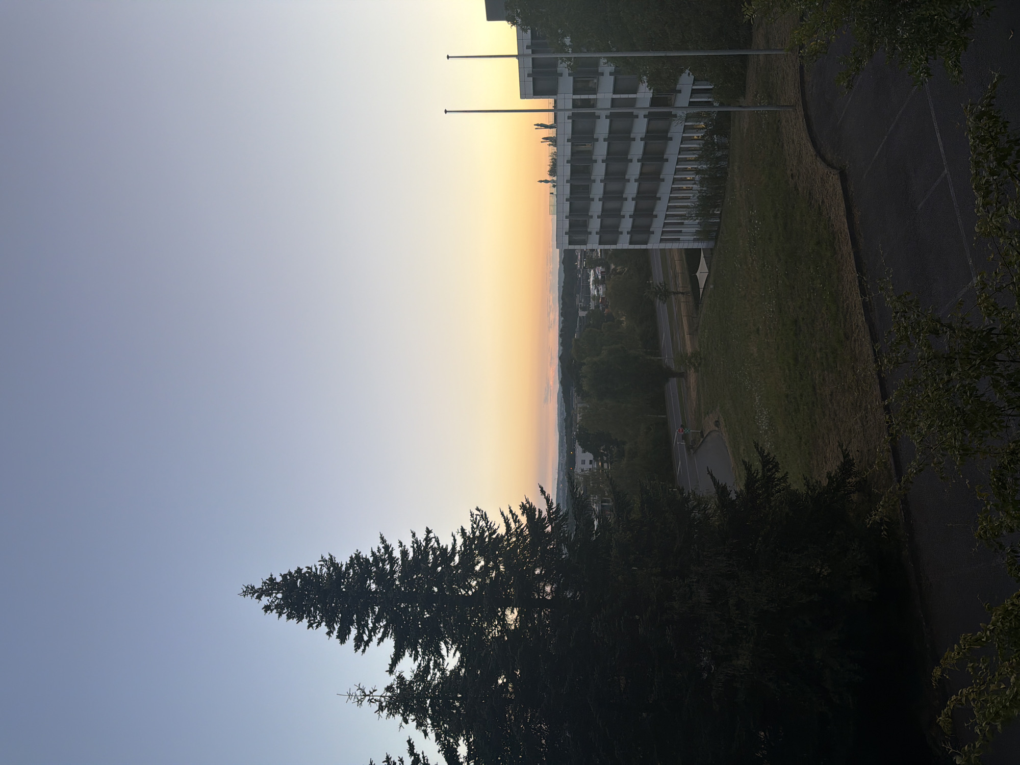 The image captures a serene view of Leudelange, Luxembourg, during the early morning or late evening as indicated by the soft, gradient sky transitioning from pale blue to warm orange hues. In the foreground, large, dark green coniferous trees dominate the left side of the frame, their silhouettes stark against the brightening sky. To the right, a modern, multi-story white building with numerous windows is visible. The building appears to be an office or commercial structure, with flagpoles standing in front of it. Surrounding the building is a landscape of green grass, some dry patches, and a paved area that looks like a parking lot. A road can be seen in the middle ground, with some vegetation and distant buildings suggesting a semi-urban or suburban setting. The overall atmosphere is tranquil, with a sense of natural beauty meeting modern infrastructure. There are no people visible in the scene.