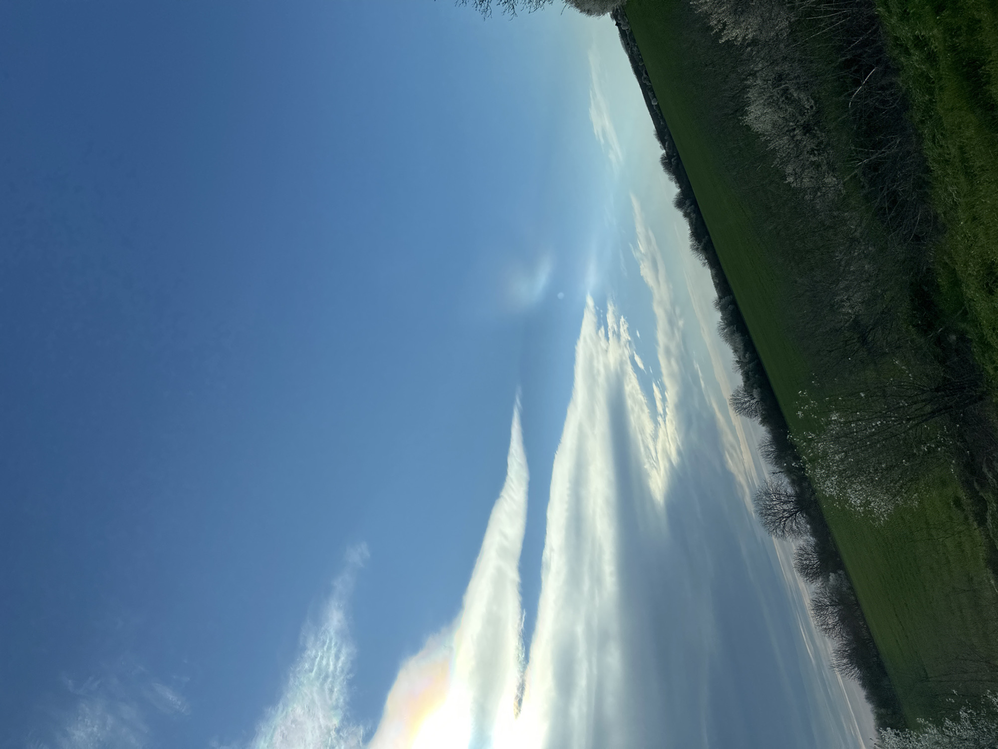 The image presents a landscape scene. The sky dominates the left portion of the frame, exhibiting a bright blue color punctuated by scattered clouds. Some of the clouds are illuminated by sunlight and exhibit a rainbow effect. On the right side of the image is a grassy field, bordered by a row of trees. The trees appear to be flowering. Given that the image is meant to be from Ryahovo, Bulgaria, this is likely an agricultural landscape.