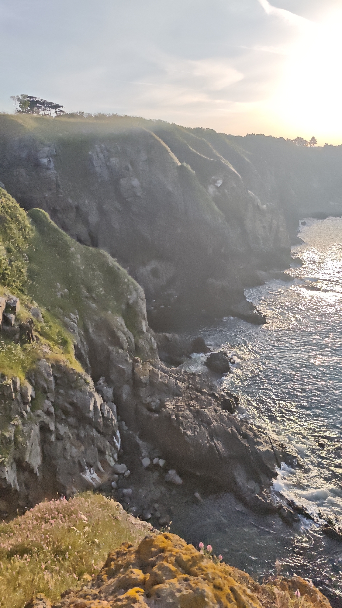 The image depicts a rugged coastline, likely near Sozopol, Bulgaria, at sunset or sunrise. The foreground features a rocky cliff covered in grass and small pink flowers. The cliff edge is close to the camera, creating a strong sense of depth. The middle ground consists of a steep, rocky cliff face descending towards the sea. The cliff is partially covered in vegetation and shrouded in mist or haze. The ocean is visible in the lower and right portions of the image. Sunlight reflects off the water's surface, creating a shimmering effect. Further in the distance, there is another headland or cliff top with trees silhouetted against the sky. The sky is bright, indicating the sun's position near the horizon. The scene is characterized by a combination of natural elements: rocks, sea, vegetation, and light. There are no discernible people or human-made structures visible in the image.