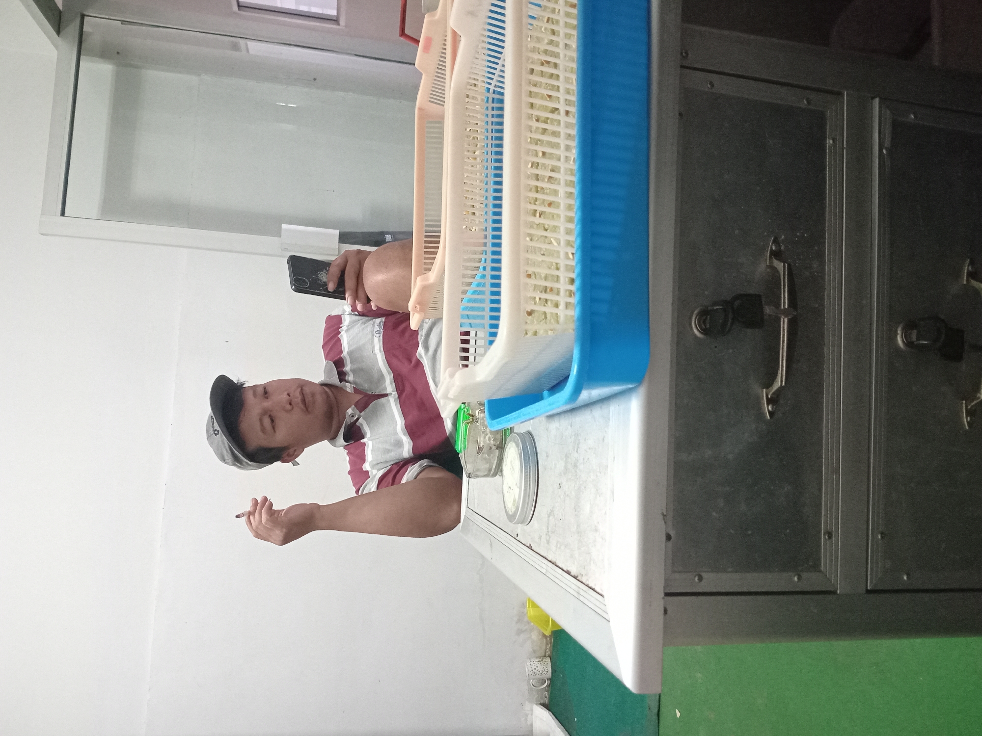 A man wearing a grey baseball cap and a horizontally striped polo shirt is sitting at a metal desk in a room. He is holding a lit cigarette in his right hand and a smartphone in his left hand, looking at the phone. The desk has a silver metal surface and drawers. On the desk are two white plastic baskets with white and blue trays containing what appears to be sprouts or seeds. There is also a small ashtray with cigarette butts, a metal container with a lid, and a small white mug with a pattern on it. The background shows a white wall and a doorway with a glass door. The floor is covered in green carpeting. The scene appears to be in a workspace or laboratory, possibly related to agriculture or food production, in Puncu, Indonesia.