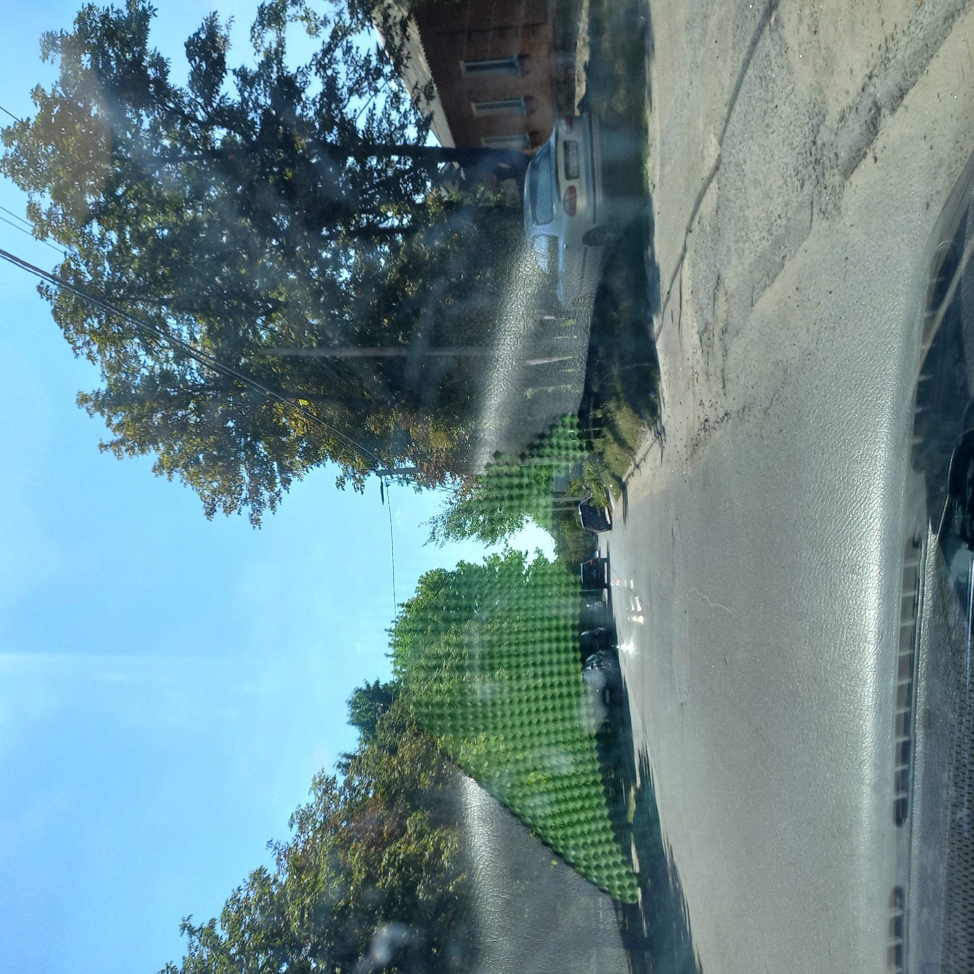 The image depicts a street scene, likely in Kropyvnytskyi, Ukraine, as suggested by the metadata. The perspective is from inside a vehicle, looking through a windshield with visible smudges and a distinctive green, textured pattern in the foreground on the left and right sides.
The road appears to be asphalt with some areas of wear and tear. On the left side of the road, several dark-colored cars are parked. Further down the road, two white traffic cones are visible. On the right side of the road, a silver sedan is parked near a brick building.
Lush green trees line both sides of the street, with a clear blue sky overhead. The sunlight creates reflections and glare on the windshield, obscuring some details. Power lines are also visible running overhead and through the trees. The overall impression is that of a quiet, residential street on a sunny day.