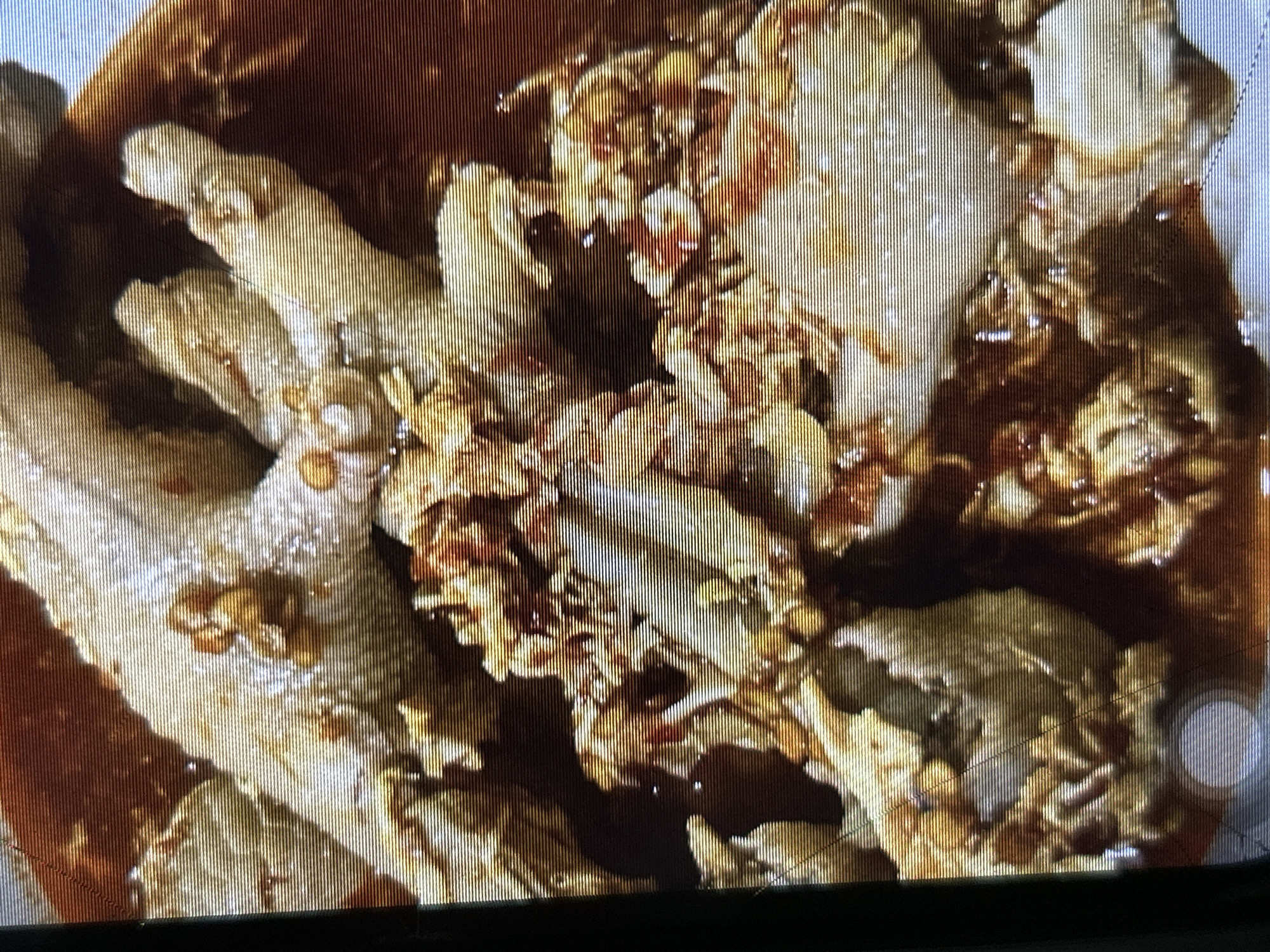 The image shows a close-up, low-angle view of chicken feet in a dark, glossy sauce, possibly a stir-fry or stew. The chicken feet are pale and appear to be cooked, with visible joints and the characteristic scaly texture of the skin. They are coated in the sauce, which has a reddish-brown hue and contains visible flecks of what appear to be chili flakes and garlic. The dish is presented in a bowl, with the sauce pooling at the bottom. The lighting is warm and casts shadows, highlighting the texture of the food. The image is somewhat grainy and exhibits horizontal lines, possibly due to the display technology or capture method. There is no indication of a specific location in Depok, Indonesia, as the image solely focuses on the food itself, and the background is indistinct. There are no people or actions depicted in the image.