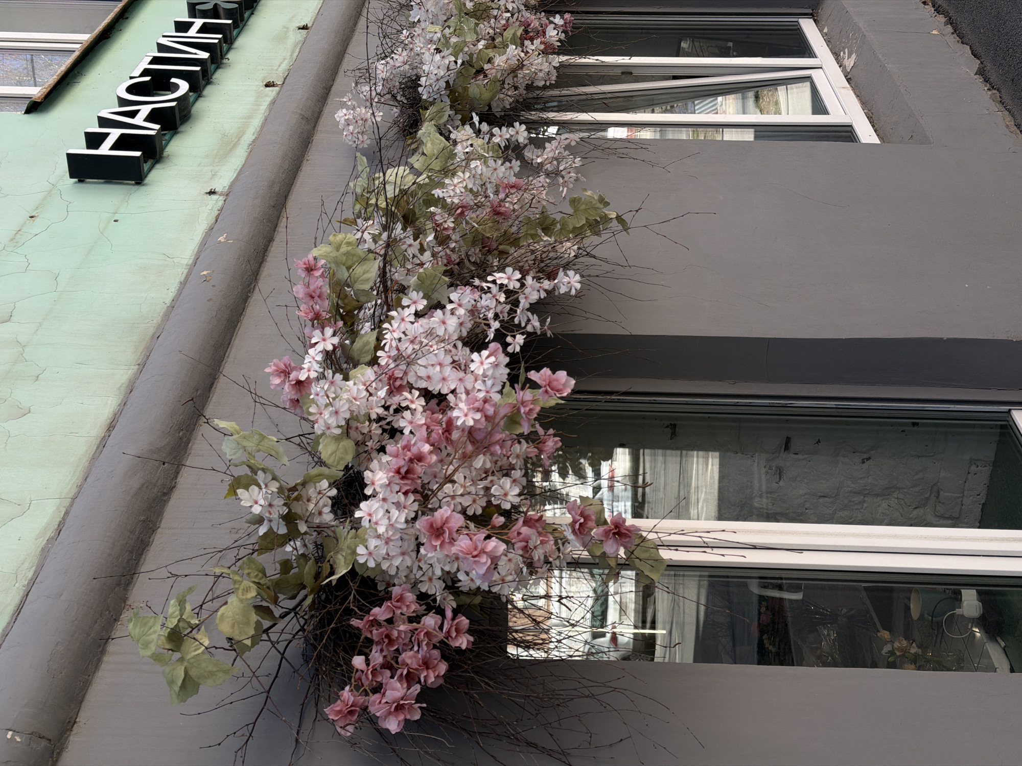 A low-angle, outdoor shot shows a section of a building in Perm, Russia. The building, featuring gray walls with white-framed windows, is adorned with artificial flowers in shades of pink and white, cascading down its side. The facade appears slightly weathered, with cracks visible in the paint on the upper left side of the image. A sign with Cyrillic letters, possibly advertising a business, is attached to the wall above the floral arrangement. Reflections can be seen in the windows. The image conveys a sense of urban decoration.