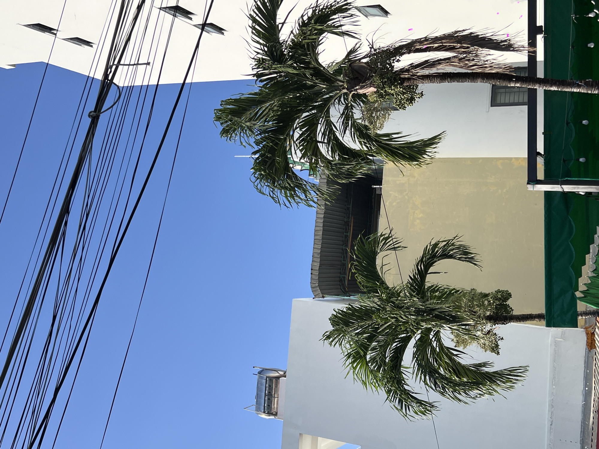 The image shows a bright, sunny day in Nha Trang, Vietnam, with a clear blue sky. A collection of utility wires crisscrosses the top of the frame. In the foreground, two palm trees stand tall, their fronds reaching towards the sky. Behind the trees, several buildings are visible. To the left, a white building with a solar water heater on its roof is partially obscured. Next to it, a yellowish building rises, and a corrugated metal roof extends over a section of it. To the right, a tall, white building with multiple windows is prominent. A green awning with string lights is visible at the bottom of the frame, suggesting a commercial area. The scene captures a common urban landscape in Nha Trang, blending modern architecture with tropical vegetation.