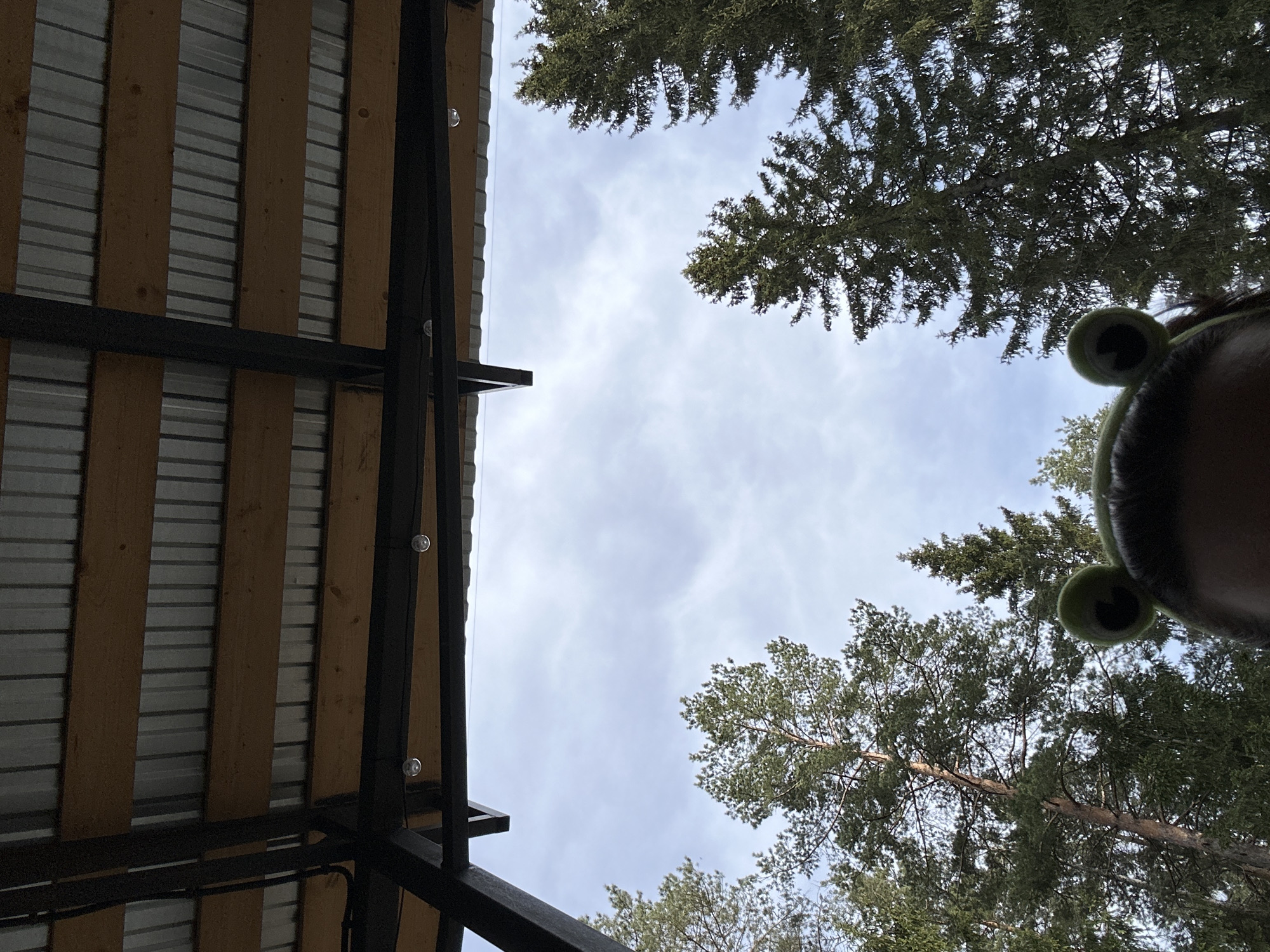 The image is taken from a low angle, looking upwards. In the left of the frame, there is a partial view of a building structure with a roof constructed of wooden planks and corrugated metal sheeting. The structure is supported by a black metal frame. The sky is visible in the center, with sparse clouds. Evergreen trees are located in the upper right and lower right portions of the frame. In the upper right, there is a partial view of a person's head, with a frog-themed headband featuring large, round eyes. The location is Прикамский, Russia, as indicated by information provided.