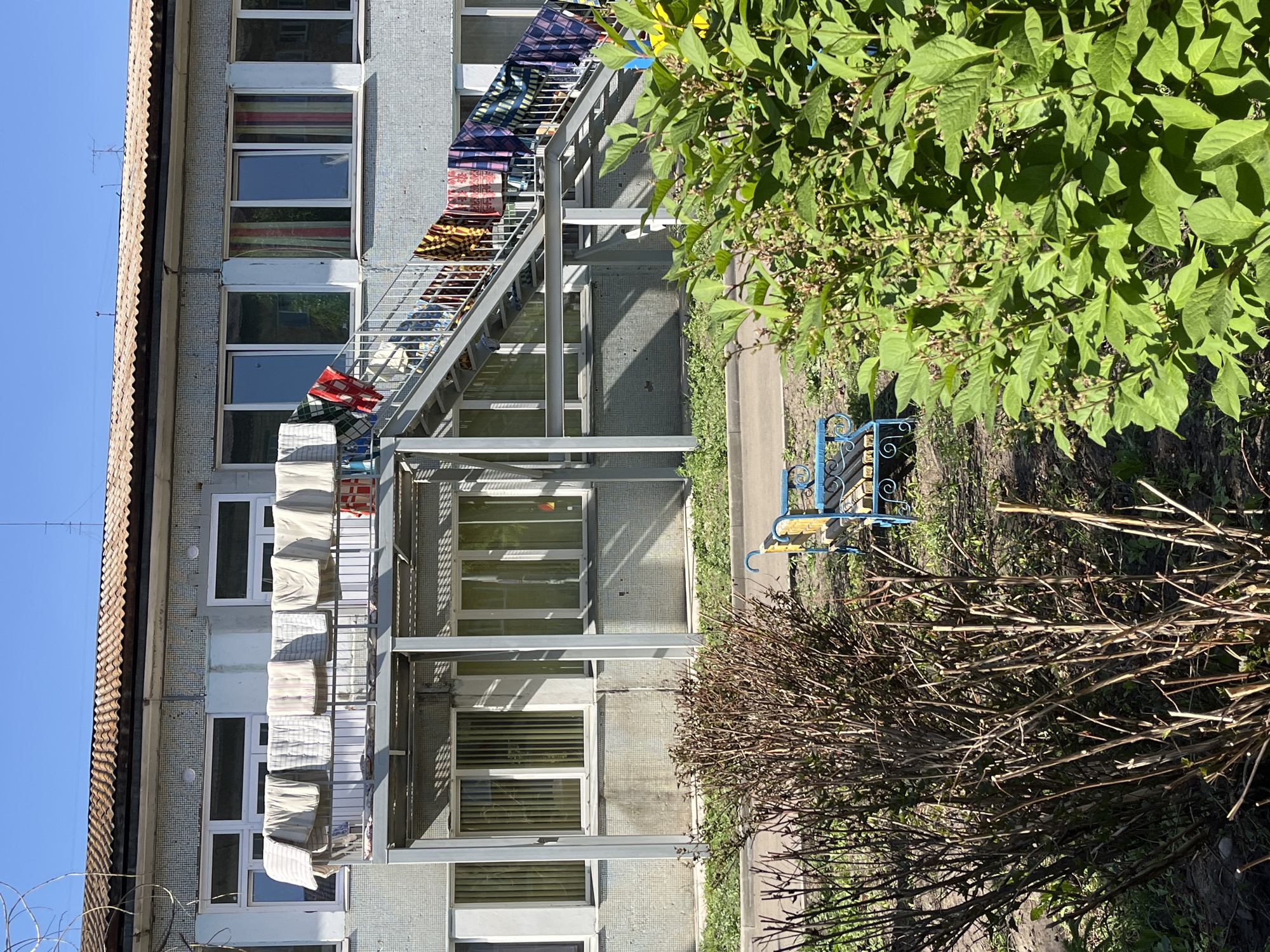 The image captures a bright, sunny daytime scene of a residential area. A multi-story apartment building occupies the left side, featuring a light-colored, possibly tiled or textured facade with numerous windows framed in white. Attached to the building's exterior, likely on balconies or a shared drying structure, are multiple clotheslines or metal racks. These racks are laden with various colorful textiles, including patterned blankets, quilts, and other clothing items, hung out to dry. Prominent colors among the drying laundry include reds, blues, yellows, and white. An antenna is visible on the building's roof against a clear blue sky.
The right side of the image is dominated by lush green foliage from a large bush or tree in the foreground, indicating healthy vegetation. Below this, there are sparser, bare-branched bushes. A paved path or ground area runs horizontally across the middle-right. A small, ornate blue metal bench with decorative scrollwork is situated next to this path, with a smaller yellow object, possibly another piece of outdoor furniture or a child's toy, nearby. The strong sunlight creates clear shadows, suggesting it is either morning or afternoon. The scene portrays a typical urban residential setting, with outdoor clothes drying, which is consistent with the provided location context of Krasnoyarsk, Russia. No people or visible text are present in the image.