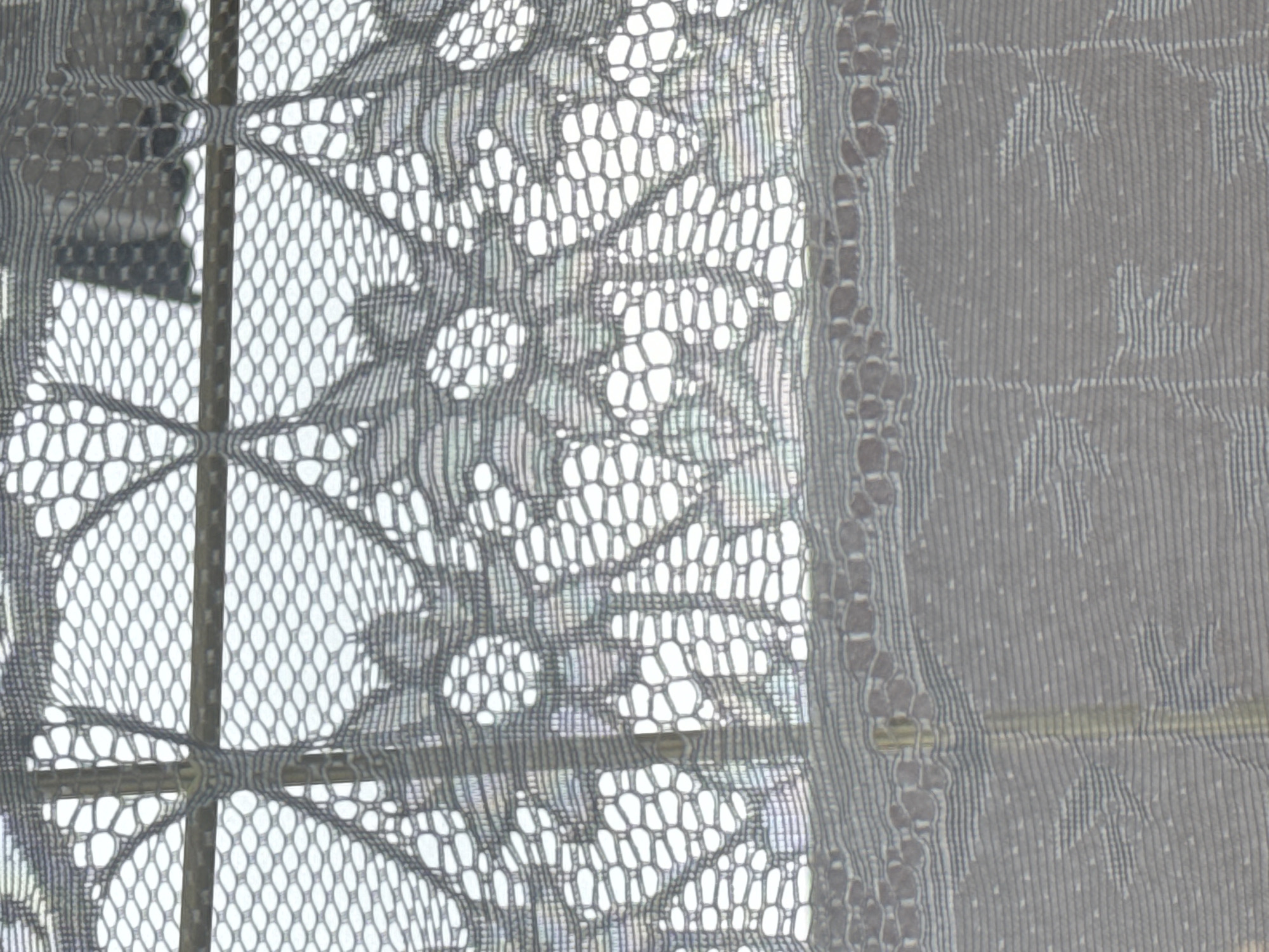 The image shows a close-up view of a window covered with a lace curtain. The curtain is textured with a floral or geometric pattern. A portion of the window frame is visible behind the curtain, consisting of vertical and horizontal bars. The scene is indoors, with daylight filtering through the curtain. The specific location is Unknown, Unknown.