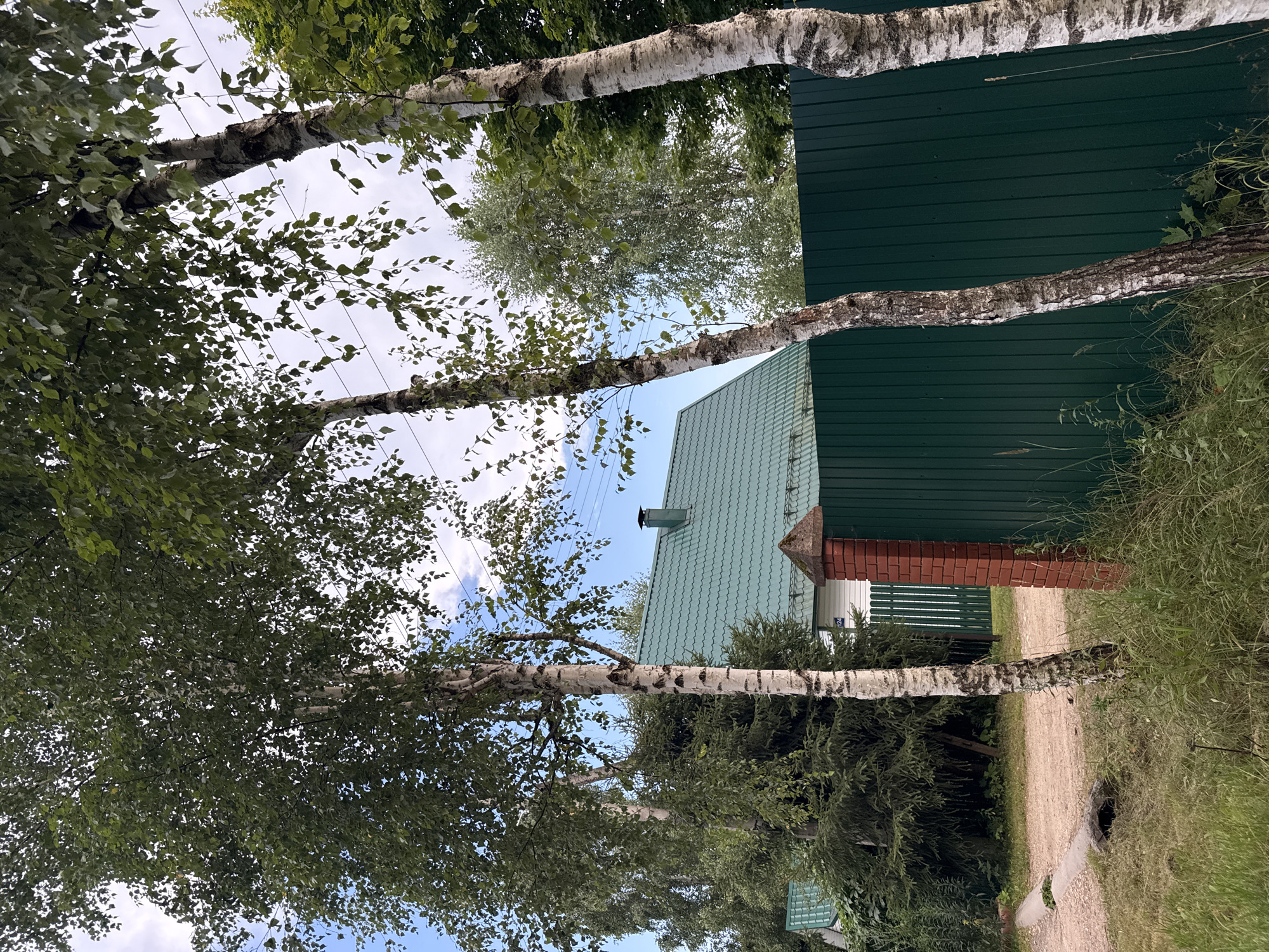 The image shows a view of a rural area, likely a dacha or country house settlement. In the foreground, there are several birch trees with their characteristic white bark, their leaves forming a canopy against a partly cloudy sky. A tall, dark green metal fence runs horizontally across the middle ground, partially obscuring a building with a green metal roof and white siding. To the left of the fence is a red brick pillar topped with a weathered concrete cap. Beyond the fence and building, more trees and foliage are visible. A dirt road or path is visible in the lower left quadrant of the image. The overall impression is one of a quiet, residential outdoor scene in a temperate climate. The location is identified as Садко Снт (макеиха), Russia.
