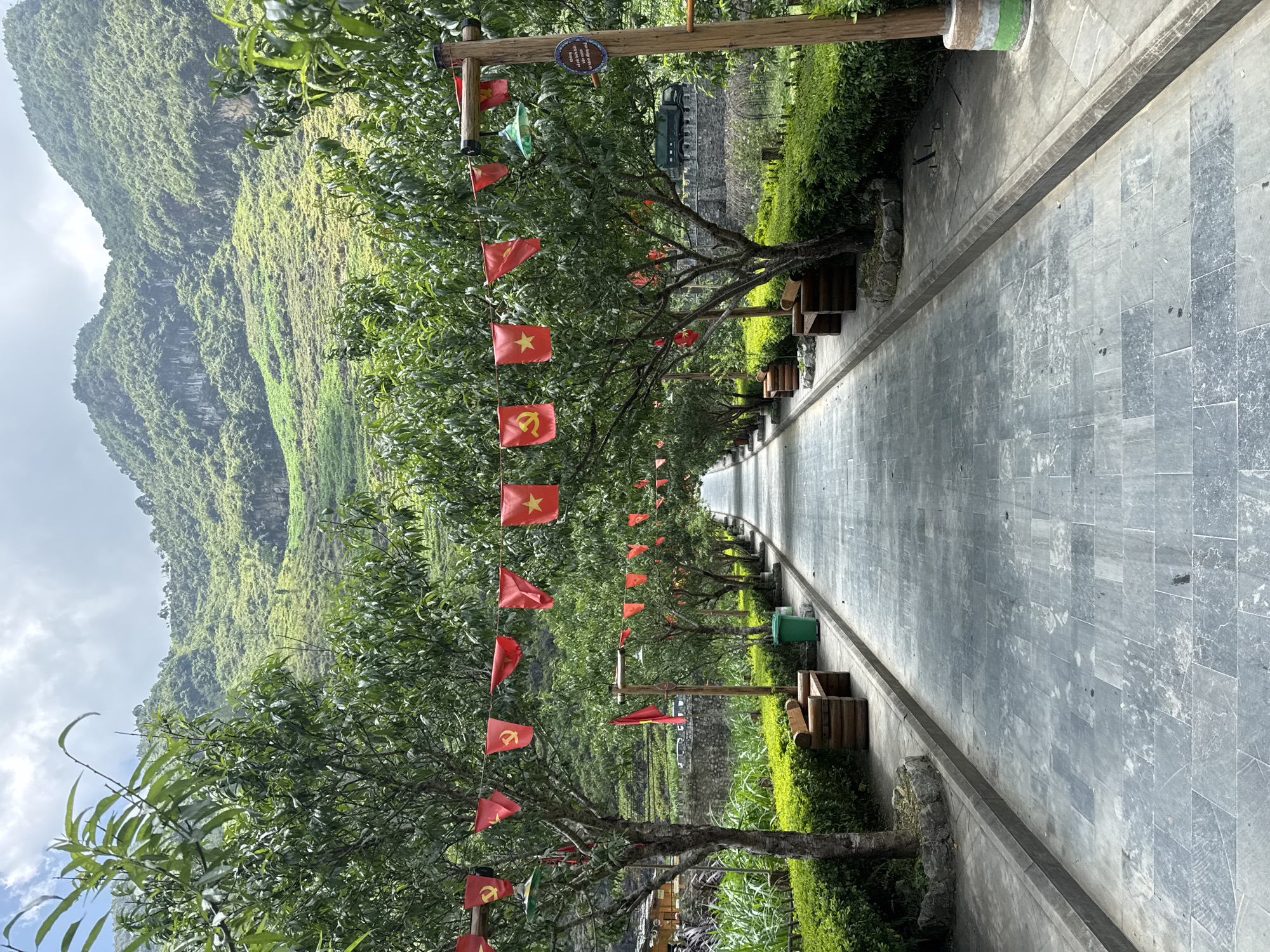 A perspective shot depicts a gray tiled pathway lined with trees adorned with small red flags, extending towards a distant point under a green mountain. The location is Mèo Vạc Commune, Vietnam. The trees are evenly spaced along both sides of the path, supported by wooden posts, with small benches and green trash cans placed between the trees and pathway. The trees cast shadows on the gray pathway, adding depth to the scene. The mountain is densely covered in green vegetation. The sky is overcast, creating soft lighting.
