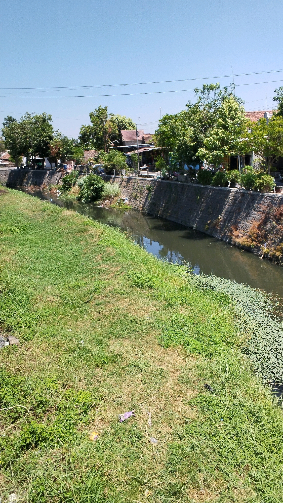 A sunny day with a clear blue sky illuminates a canal in Mojokerto, Indonesia. The canal, approximately 10-15 feet wide, is lined with a stone wall on the right bank. The water is dark and appears somewhat murky. The left bank of the canal is covered in lush green grass, with some patches of dry, yellowed grass. Scattered on the grass are a few pieces of litter, including a purple plastic bag.
On the right side of the canal, behind the stone wall, there is a row of houses with red-tiled roofs and trees. The houses appear to be small residential buildings. The vegetation is dense in places, with various types of trees and shrubs. A few power lines are visible in the sky. The overall impression is of a residential area adjacent to a water channel in a tropical climate.