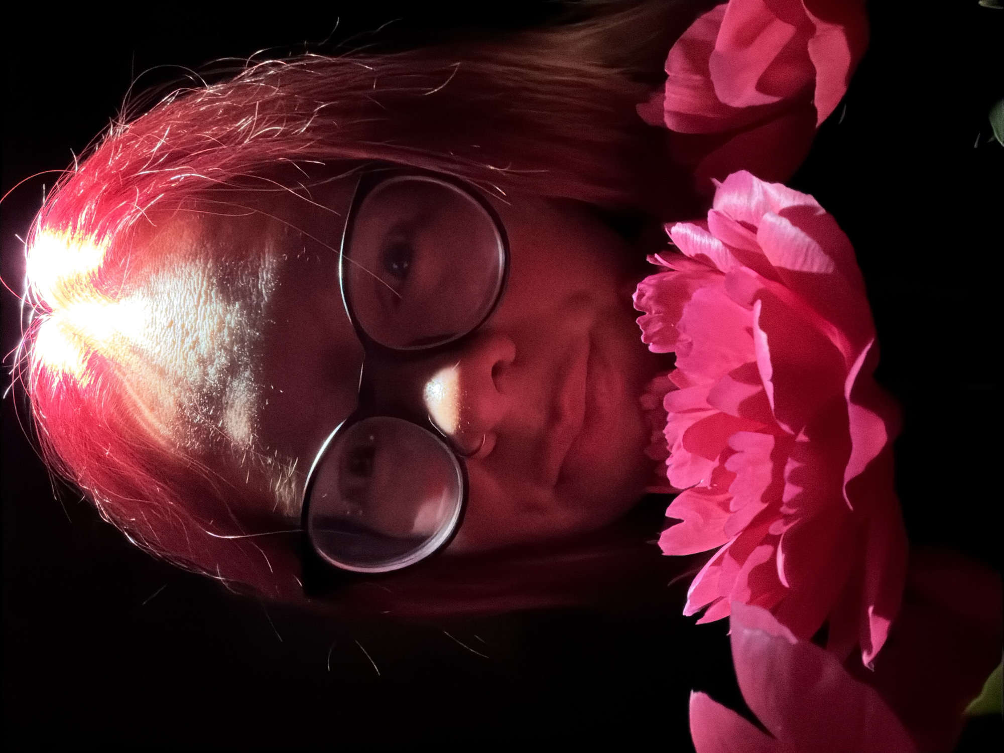 A forensic close-up portrait in the city of Chaikovsky, Russia, features an individual with vivid fuchsia-colored hair and dark-rimmed, circular spectacles. Intense overhead illumination highlights the crown of the head, revealing hair texture and lighter roots, and casts sharp light on the forehead, emphasizing skin detail. The subject's eyes are partially visible behind reflections on the eyeglass lenses, with a slight, indiscernible expression around the mouth. Three large, deeply pink, multi-petaled flowers, possibly peonies, occupy the immediate foreground, obscuring the lower portion of the subject's face and torso. The central flower is in sharp focus, displaying petal structure and internal shadows. The entire scene is set against an undifferentiated, deep black background, with no other environmental details discernible.
