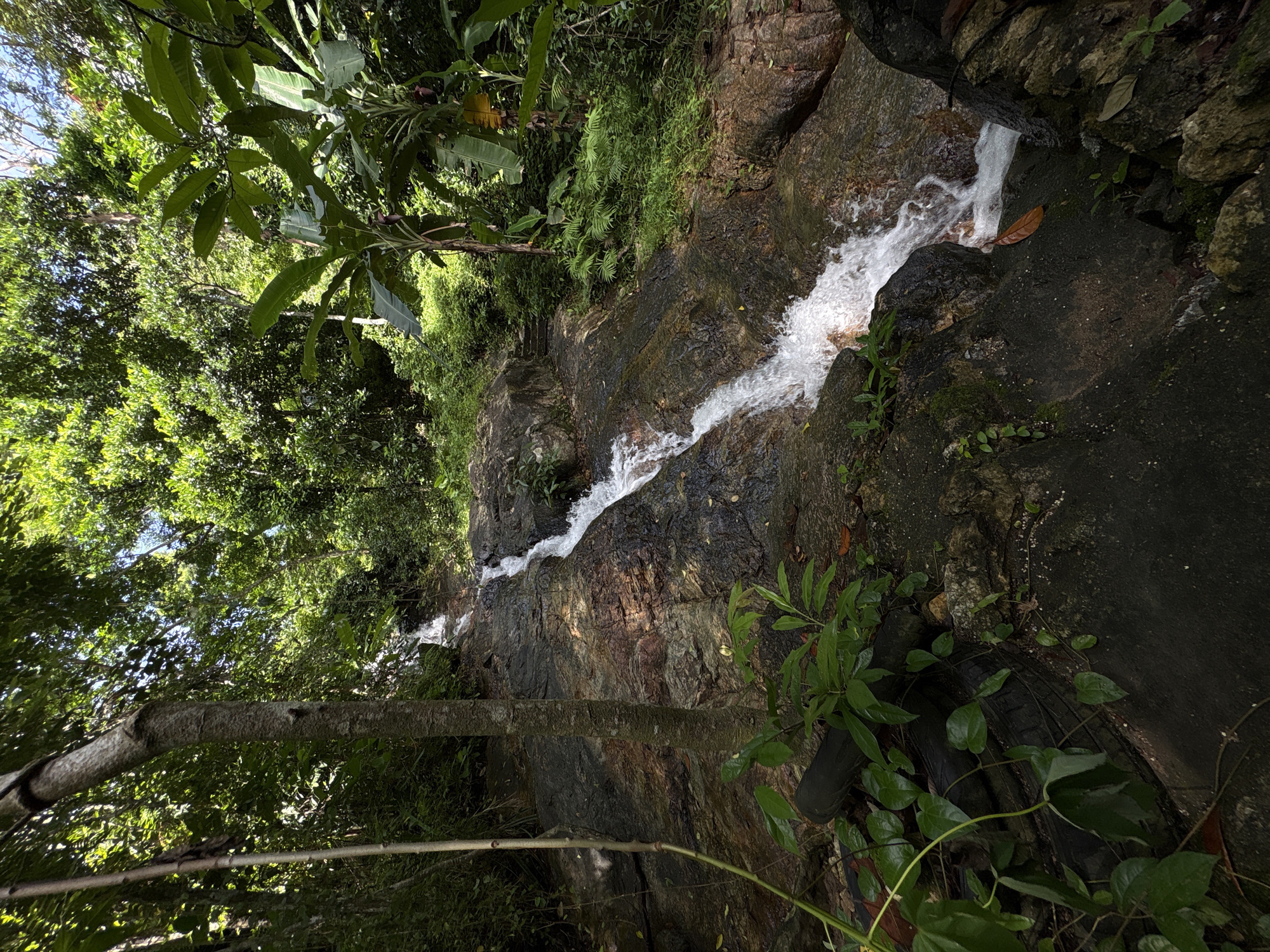 A narrow waterfall cascades down a rocky slope within a dense, green jungle. The rocks are wet and dark, with some moss and vegetation growing on them. The water is white and foamy, indicating a swift flow. Tall trees with lush foliage surround the scene, with sunlight filtering through the leaves. Banana trees are visible on the right side of the image. In the foreground, on the left, a thick tree trunk stands vertically, and some dark, rounded objects, possibly old tires, are partially covered by green vines and leaves. A thin, light-colored branch or stick leans against the tree trunk. The scene is natural and somewhat wild, suggesting a remote jungle location. The exact location within Choeng Thale, Thailand, is not discernible from the image itself.