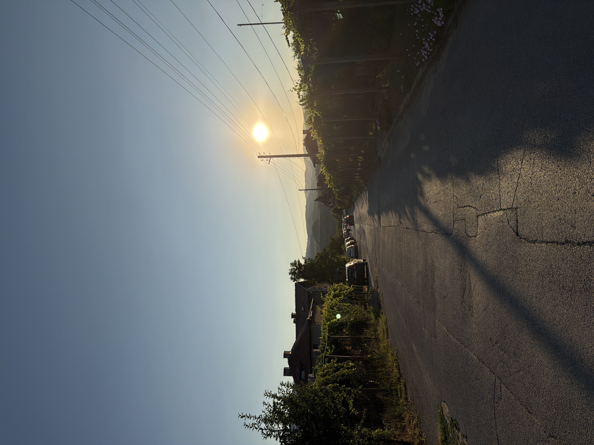 The image depicts a street scene in Mursalevo, Bulgaria, during what appears to be late afternoon or early evening. The sun is low in the sky, casting long shadows across the asphalt road. On the left side of the road, there are houses with red-tiled roofs and lush green foliage, including trees and what looks like a vineyard with trellises. A chain-link fence runs along the edge of the property. Several cars are parked along the side of the road. On the right side, a row of trellised vines with green leaves stretches along the road, also illuminated by the setting sun. Overhead, multiple power lines are visible, supported by wooden poles. In the distance, rolling hills can be seen against a clear, pale blue sky. The overall impression is a quiet, rural or semi-rural setting bathed in warm, golden light.