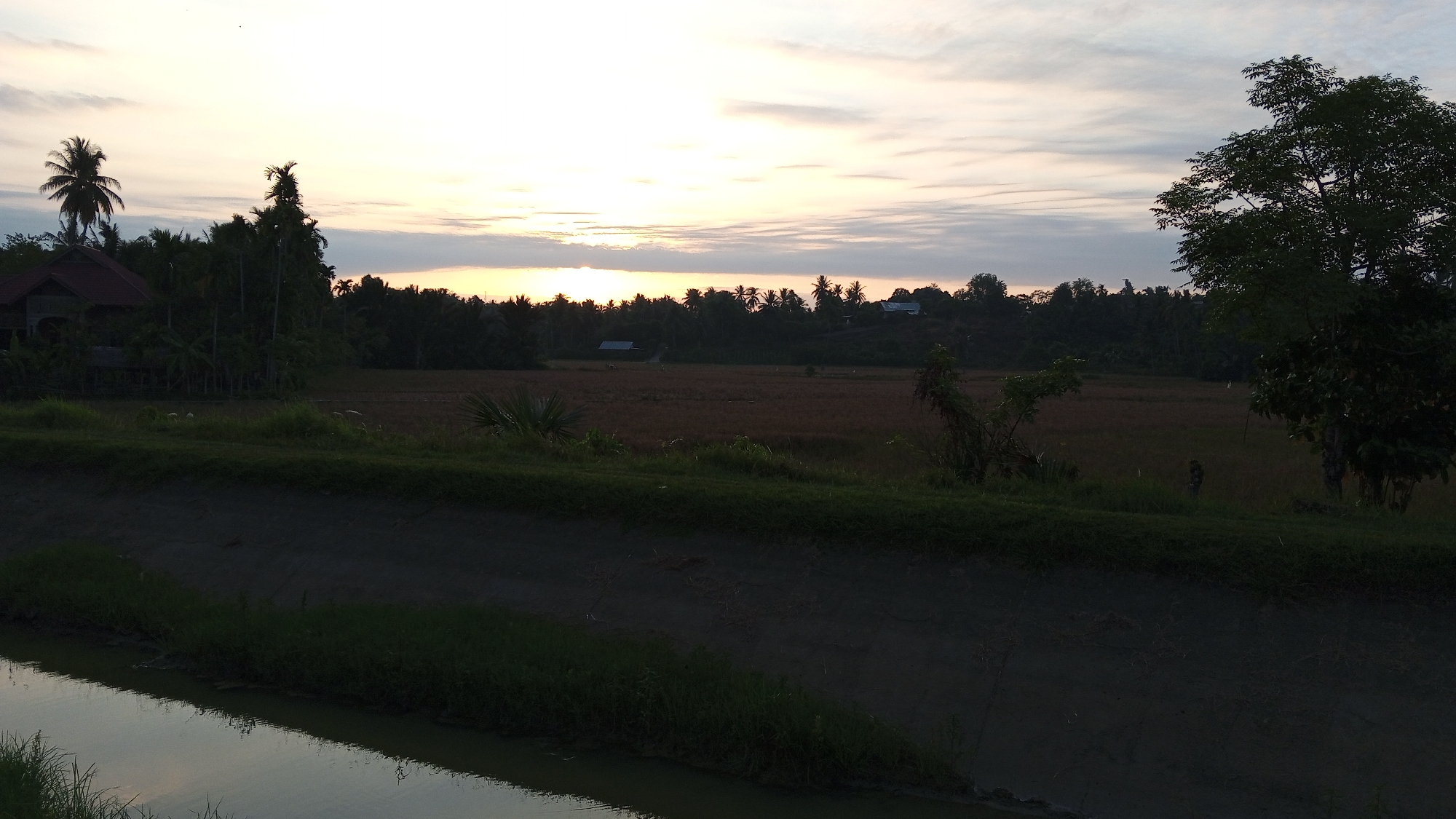 The image depicts a serene rural landscape at sunset, located in Uteunreutoh, Indonesia. A calm body of water, likely a canal or stream, occupies the lower left portion of the frame, reflecting the soft hues of the fading light. The foreground is characterized by lush green grass lining the banks of the water. Beyond this, a dark, dry ditch or embankment runs diagonally across the scene.
The middle ground reveals a vast field, possibly a rice paddy, with dry, brown vegetation indicating a harvested or dormant state. Scattered across this field are a few small structures, appearing as roofs or sheds. A line of trees forms a dense natural boundary along the horizon, with palm trees and other tropical foliage visible. On the left side, a traditional Indonesian house with a dark red roof is nestled amongst the trees, flanked by tall palm trees. On the right side, a large, leafy tree stands prominently, its branches reaching towards the sky.
The sky above is a canvas of soft pastel colors, with streaks of orange, yellow, and gray clouds blending together, signifying the end of the day. The overall atmosphere is peaceful and tranquil, characteristic of a rural Indonesian countryside during sunset.