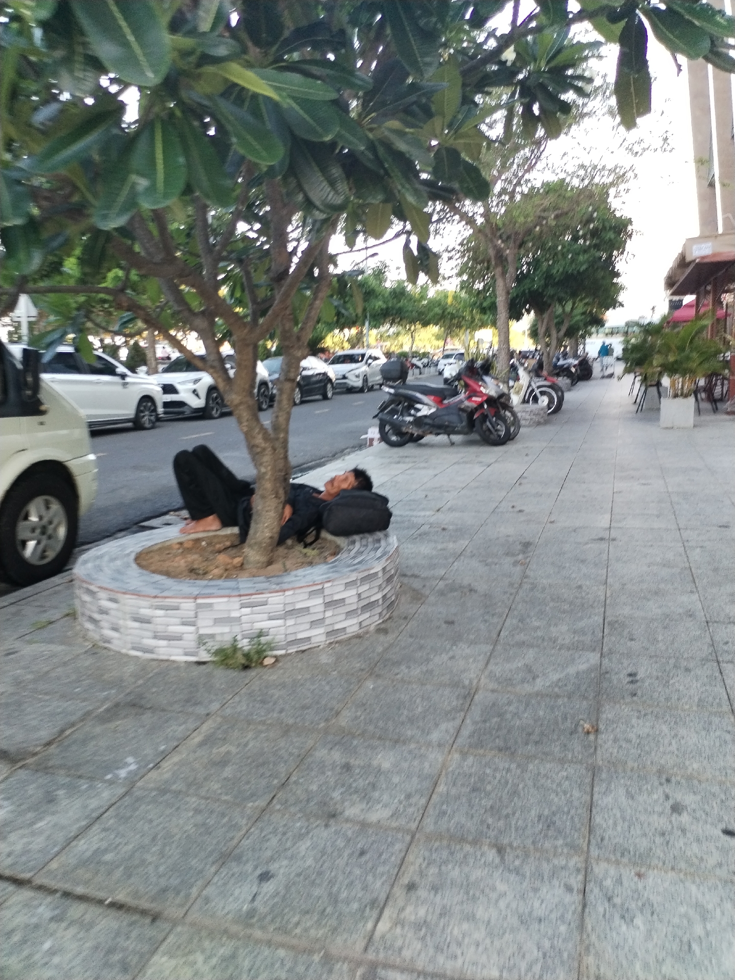 A man is lying on his back at the base of a tree on a city sidewalk in Nha Trang Ward, Vietnam. He is wearing dark clothing and is barefoot. He appears to be sleeping, with his head resting on a black bag. The tree is surrounded by a circular brick planter. In the background, there are parked cars and motorbikes, a row of trees, and a building. The sidewalk is made of gray pavers.