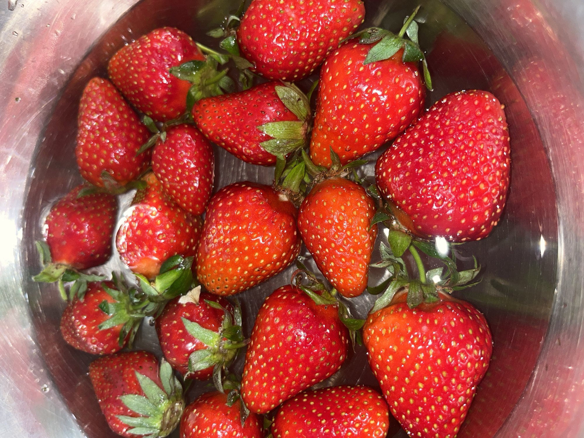 The image provides an overhead, close-up view of numerous fresh, ripe strawberries soaking in water within a metallic bowl. The strawberries are the dominant subjects, filling most of the circular frame. They exhibit a vibrant red color, and many still have their green calyxes and short stems attached.
Individual yellow or light-colored achenes (seeds) are clearly visible across the bumpy surface of the fruit. The strawberries appear plump and juicy, with a glossy sheen and visible water droplets clinging to their skin, indicating they are immersed in water. The water in the bowl is clear, reflecting light from above. The metallic surface of the bowl shows some subtle reflections and minor imperfections.
The scene suggests the activity of washing or rinsing the strawberries, likely in a domestic setting such as a kitchen, as part of preparation for consumption. No people are visible, and there is no discernible text within the image. The overall impression is one of fresh produce being cleaned.
