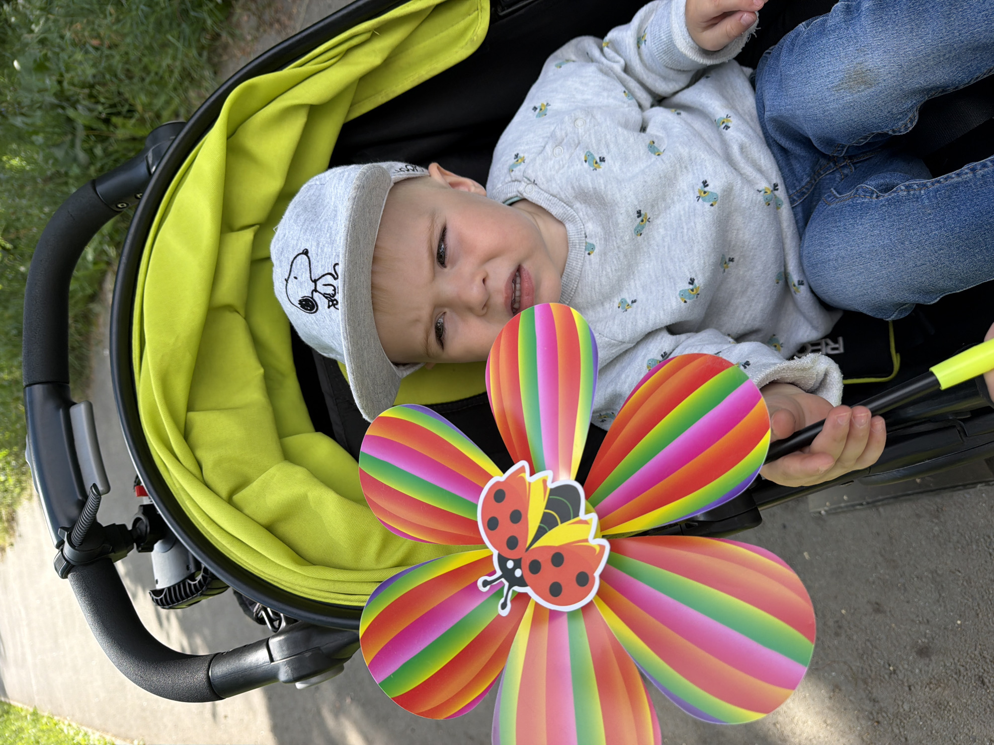An outdoor medium shot captures a young Caucasian child in a stroller. The child, wearing a grey cap with a Snoopy graphic, a light grey sweater with bird patterns, and blue jeans, sits facing forward with a pained expression. In front of the child, a colorful pinwheel featuring a ladybug design is held by a hand. The stroller's interior is lined with bright green fabric, and the black handle is visible. The background consists of a paved pathway and blurred green foliage, suggesting an urban park or sidewalk setting. The image's lighting indicates it was taken during daylight hours.